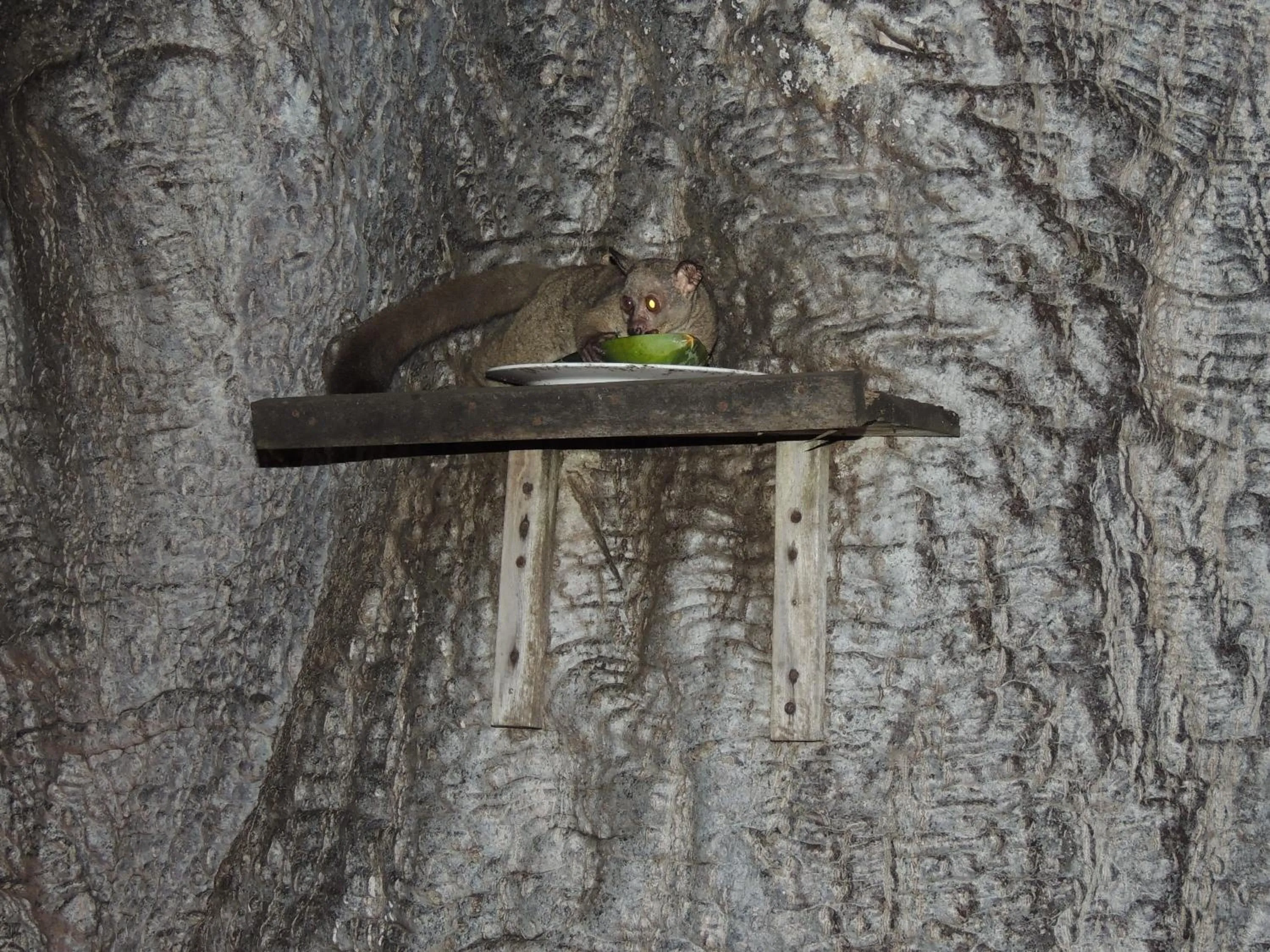 Night in Fumba Beach Lodge