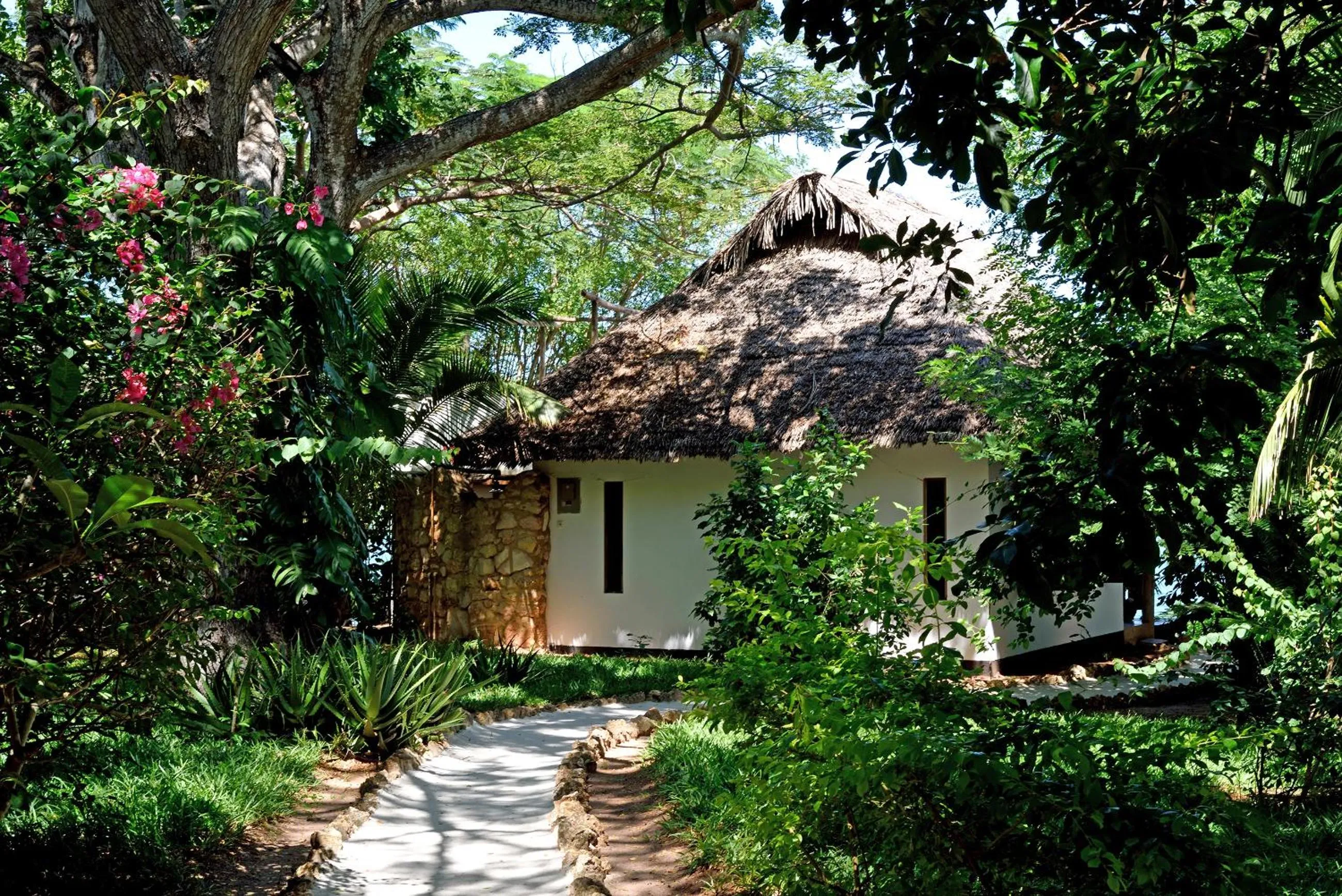 Garden in Fumba Beach Lodge