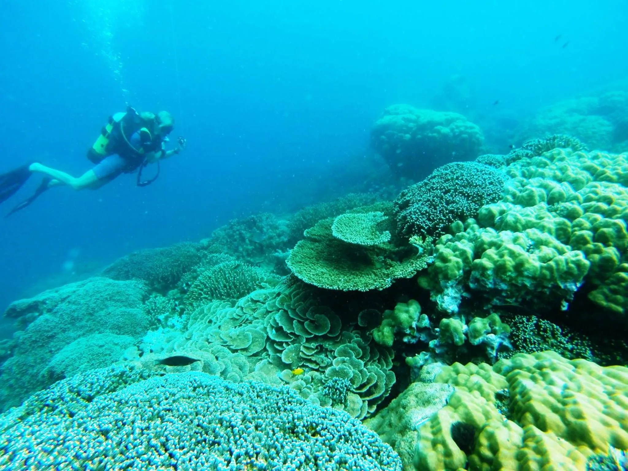 Snorkeling in Fumba Beach Lodge