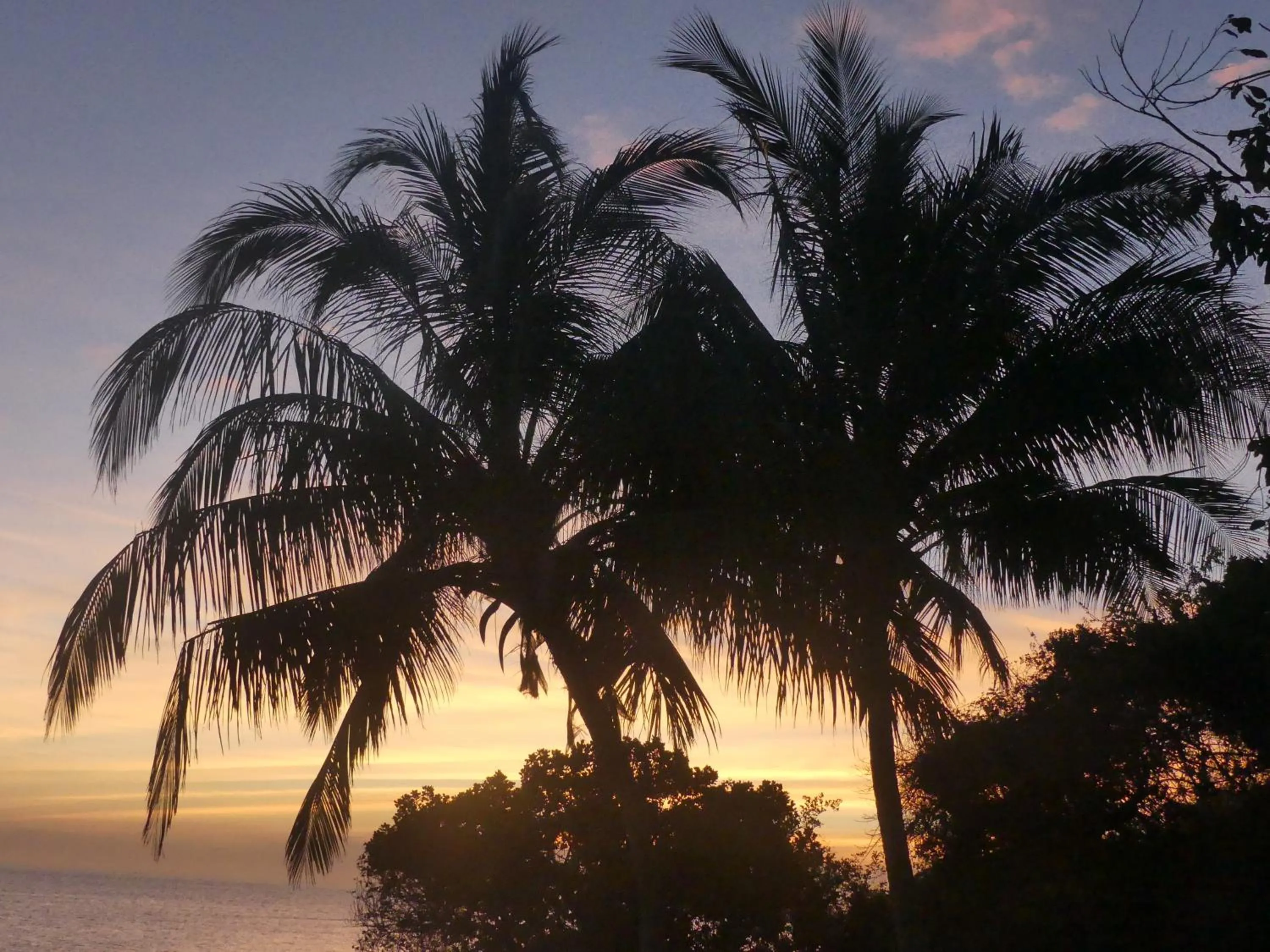 On site in Fumba Beach Lodge