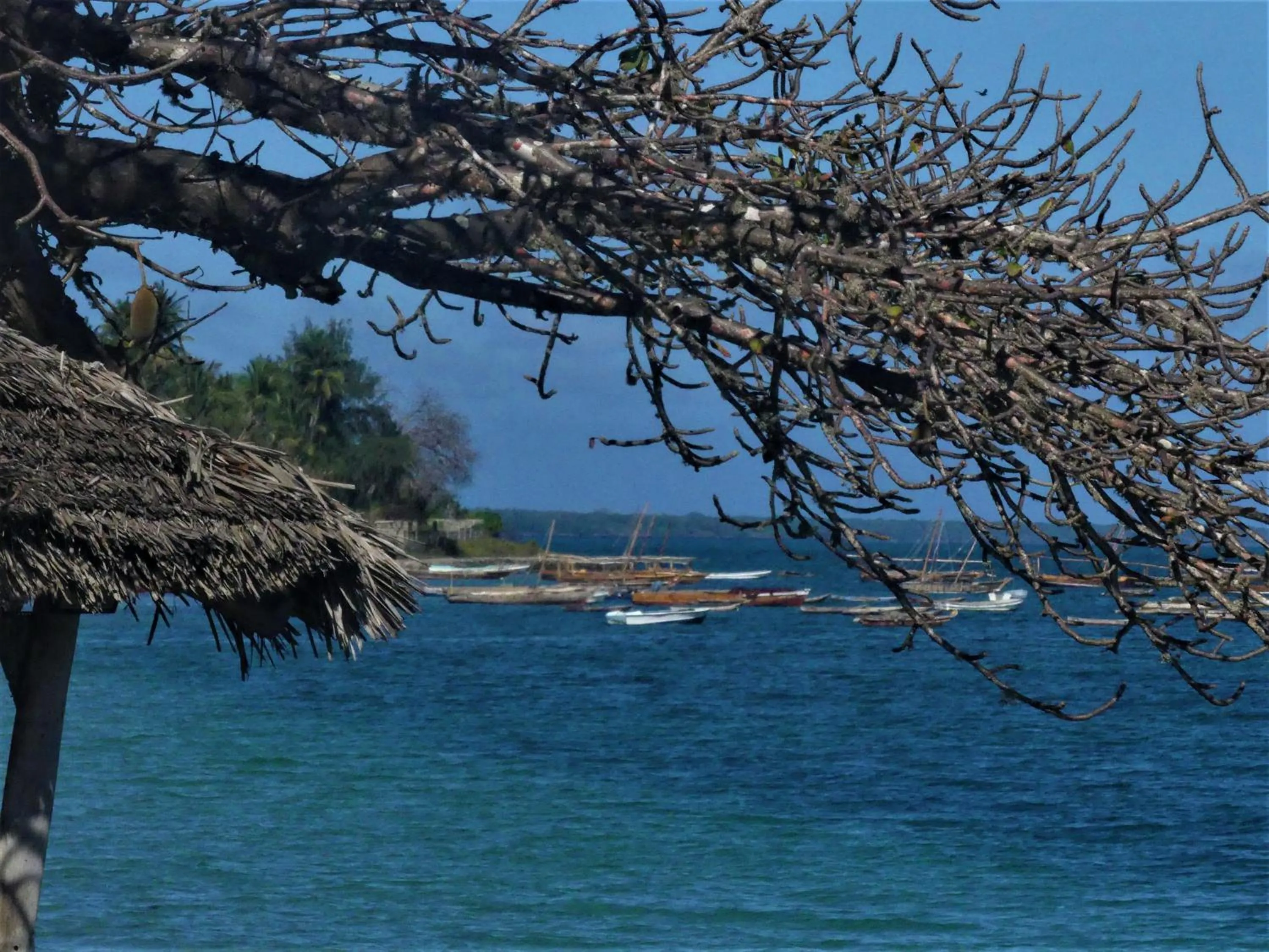 Sea view in Fumba Beach Lodge