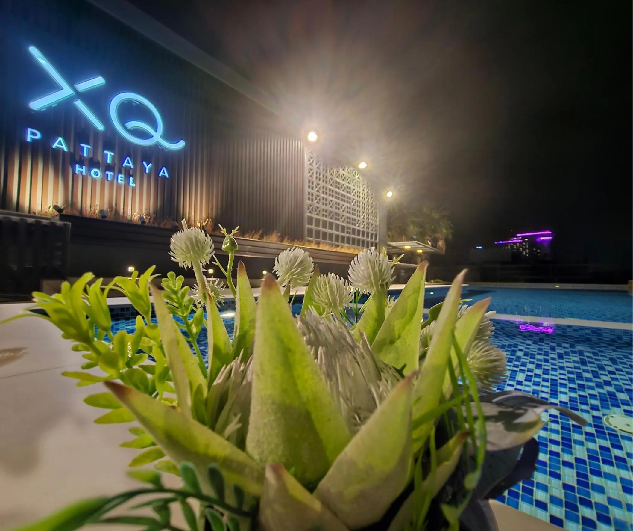 XQ Pattaya Hotel