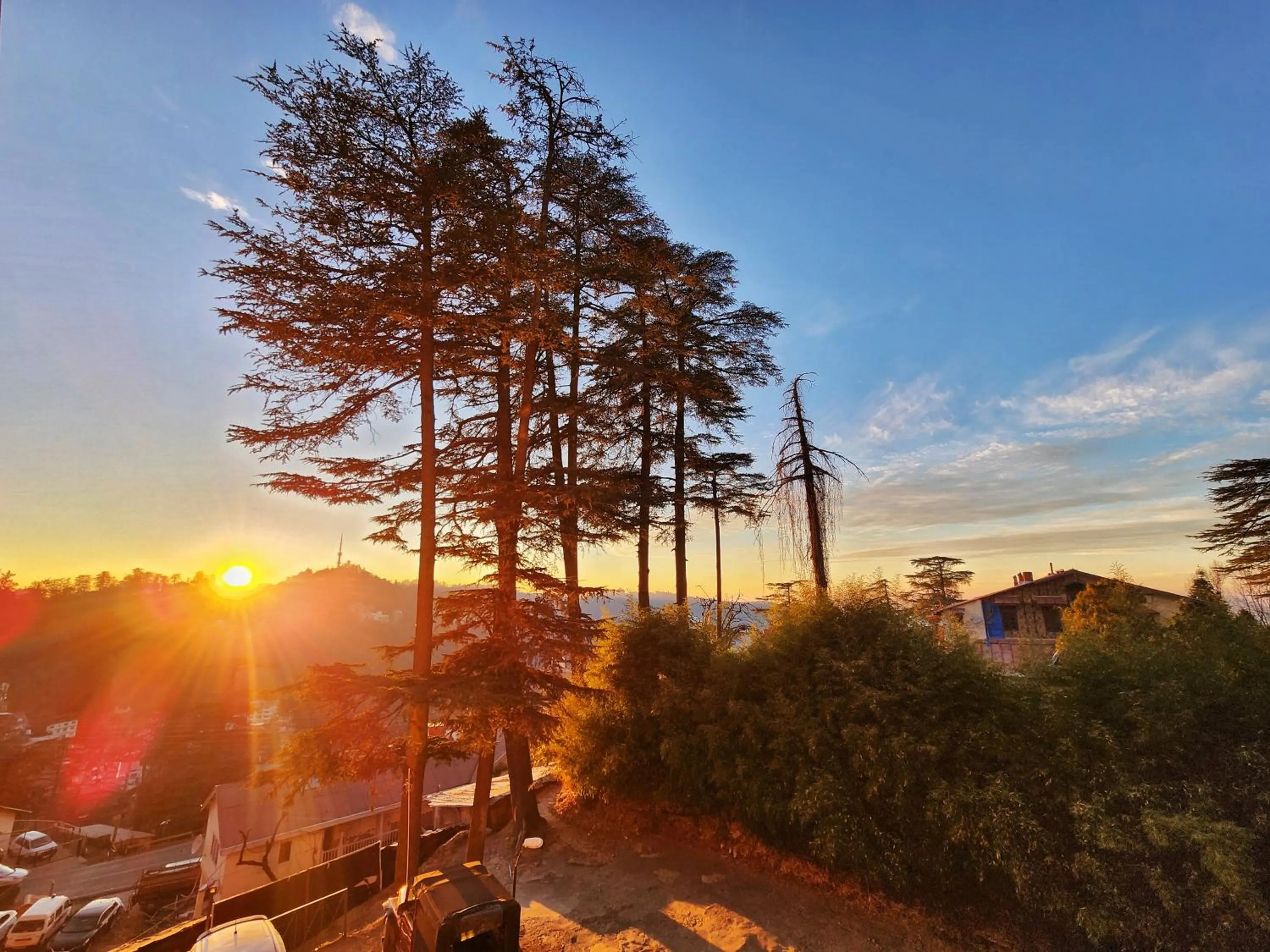 Hotel Pineview Shimla