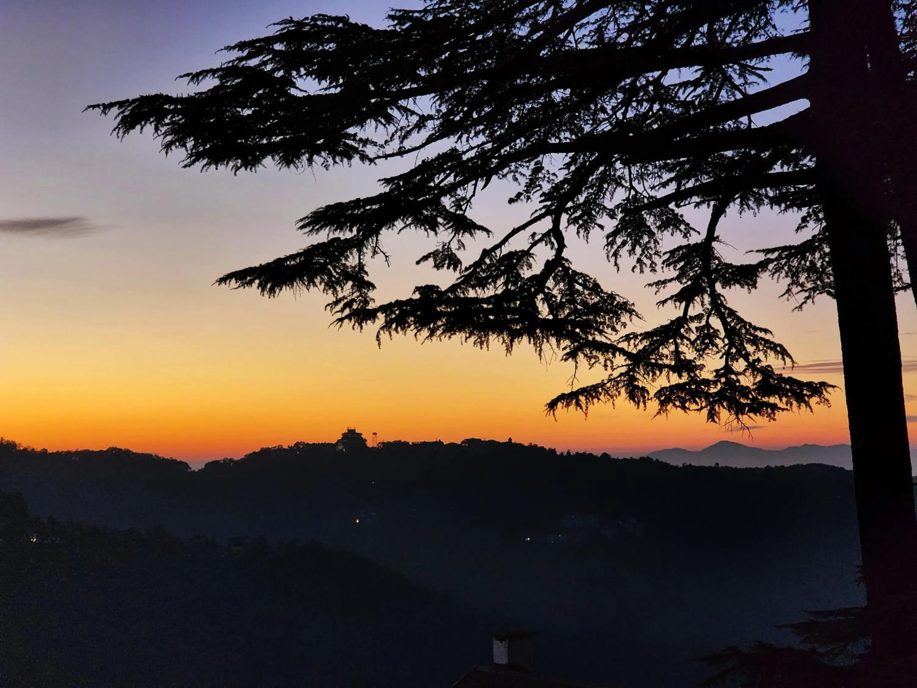 Hotel Pineview Shimla