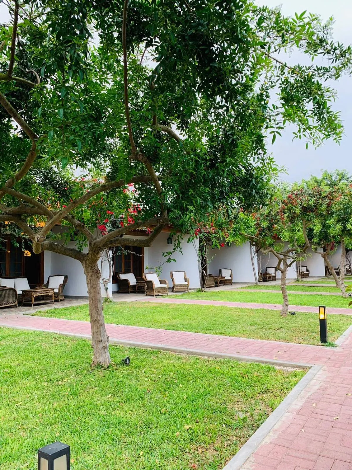 View (from property/room) in Casa Hacienda San Jose