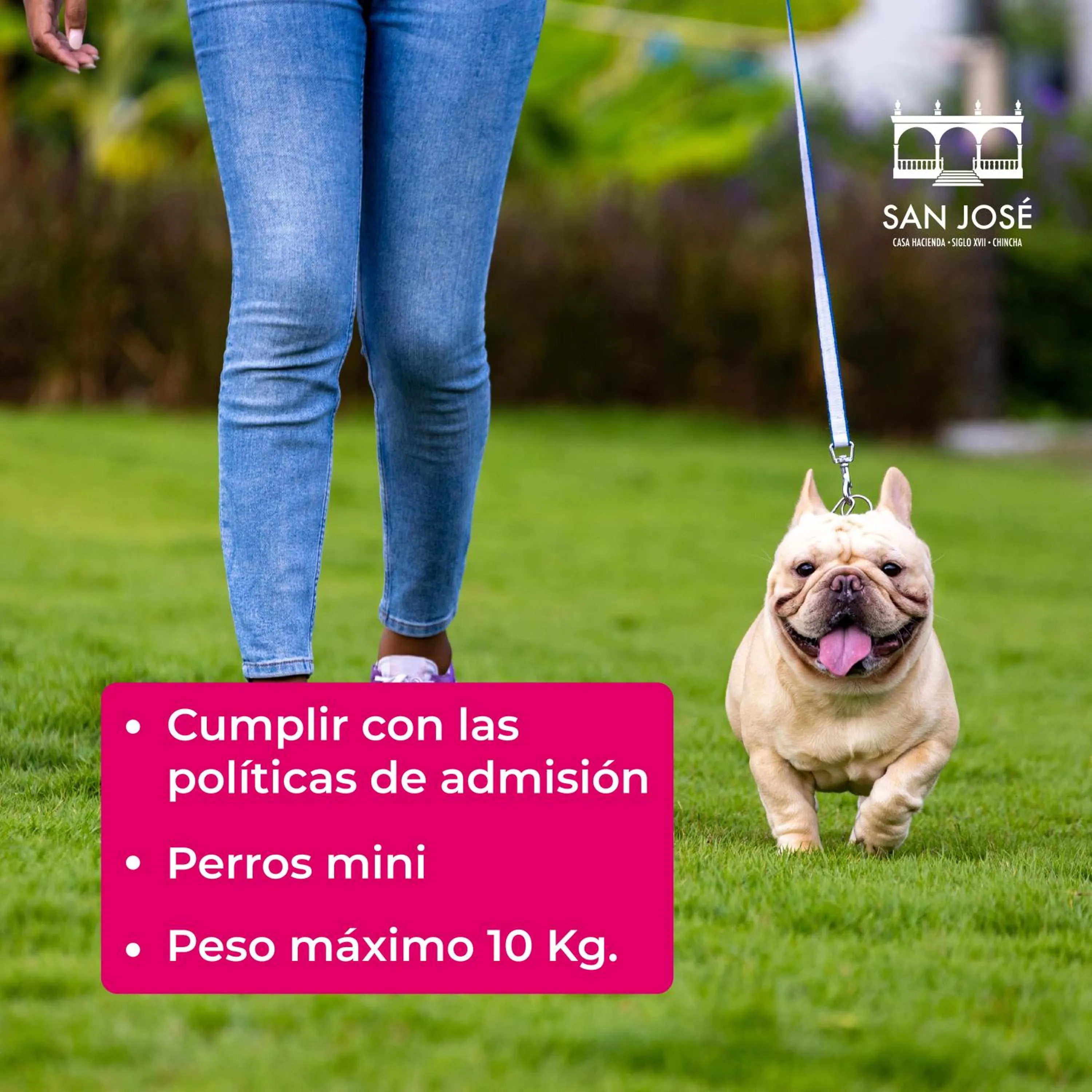 Pets in Casa Hacienda San Jose