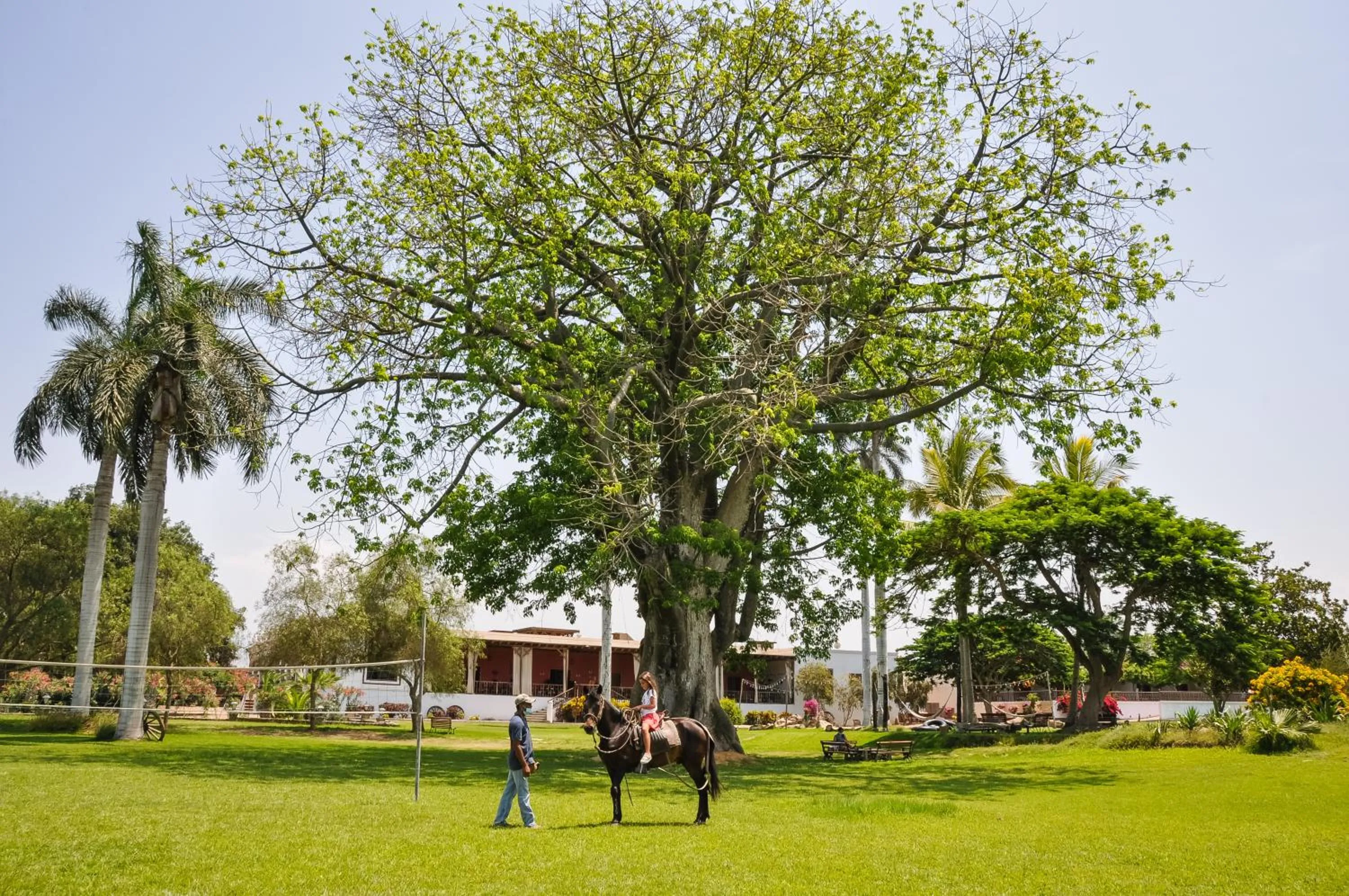 Activities in Casa Hacienda San Jose