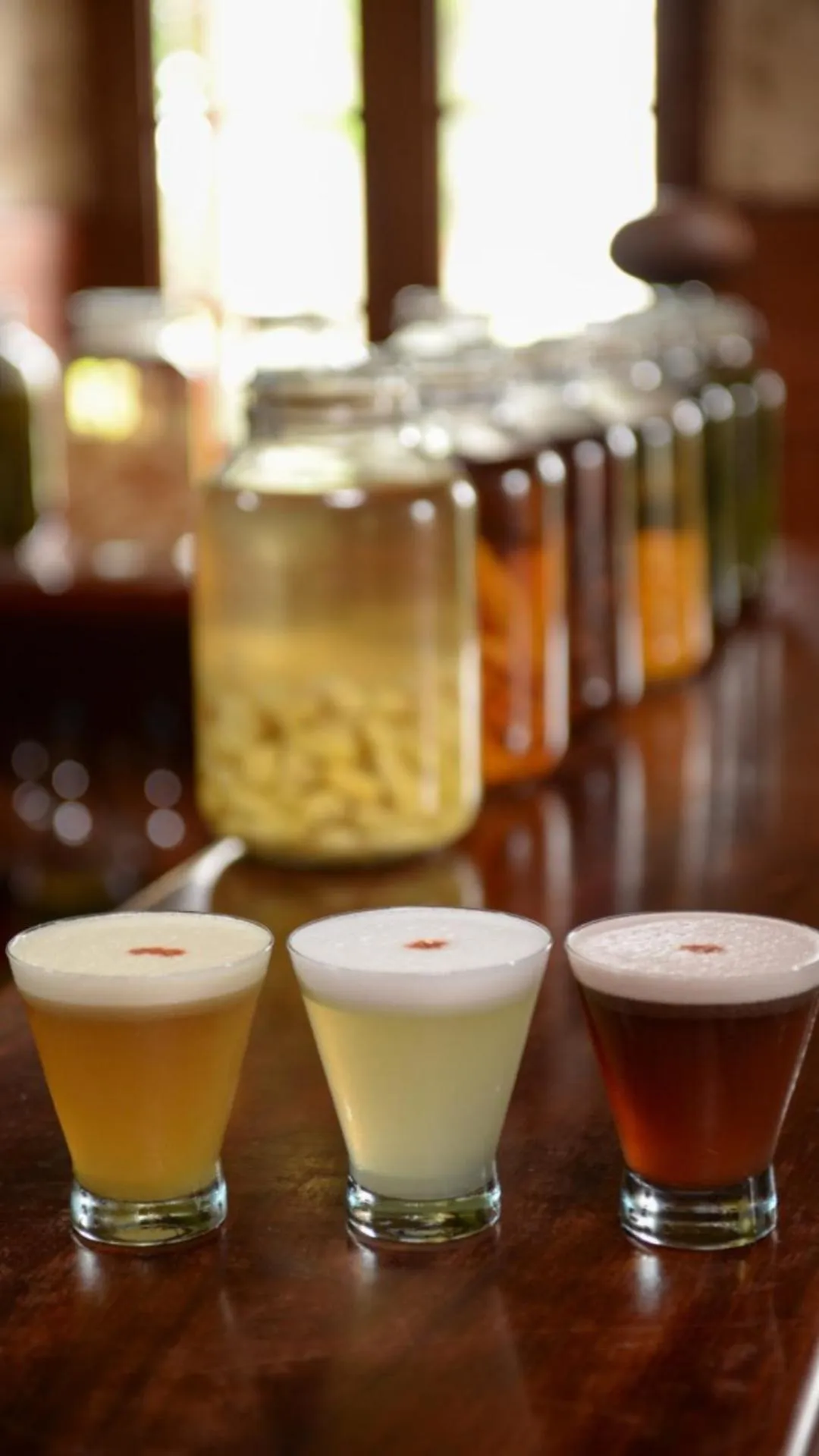 Lounge or bar in Casa Hacienda San Jose