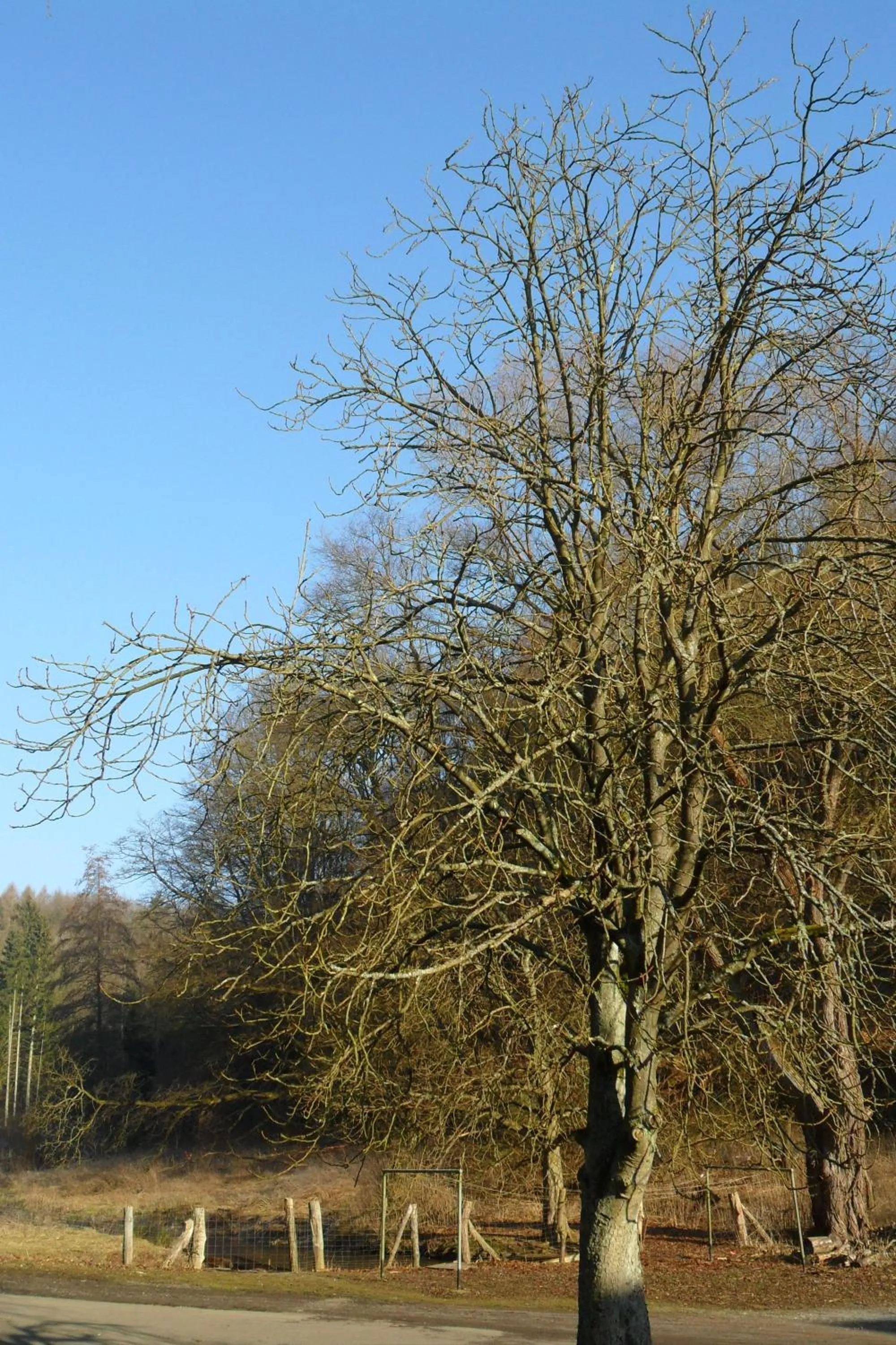 Area and facilities in Hotel Badstube