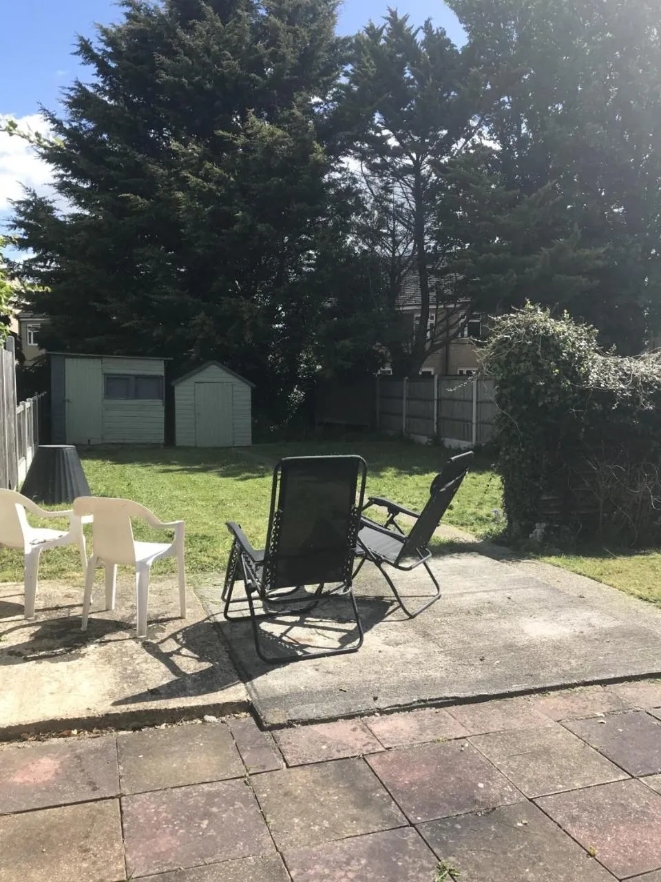 Garden in The Avenues