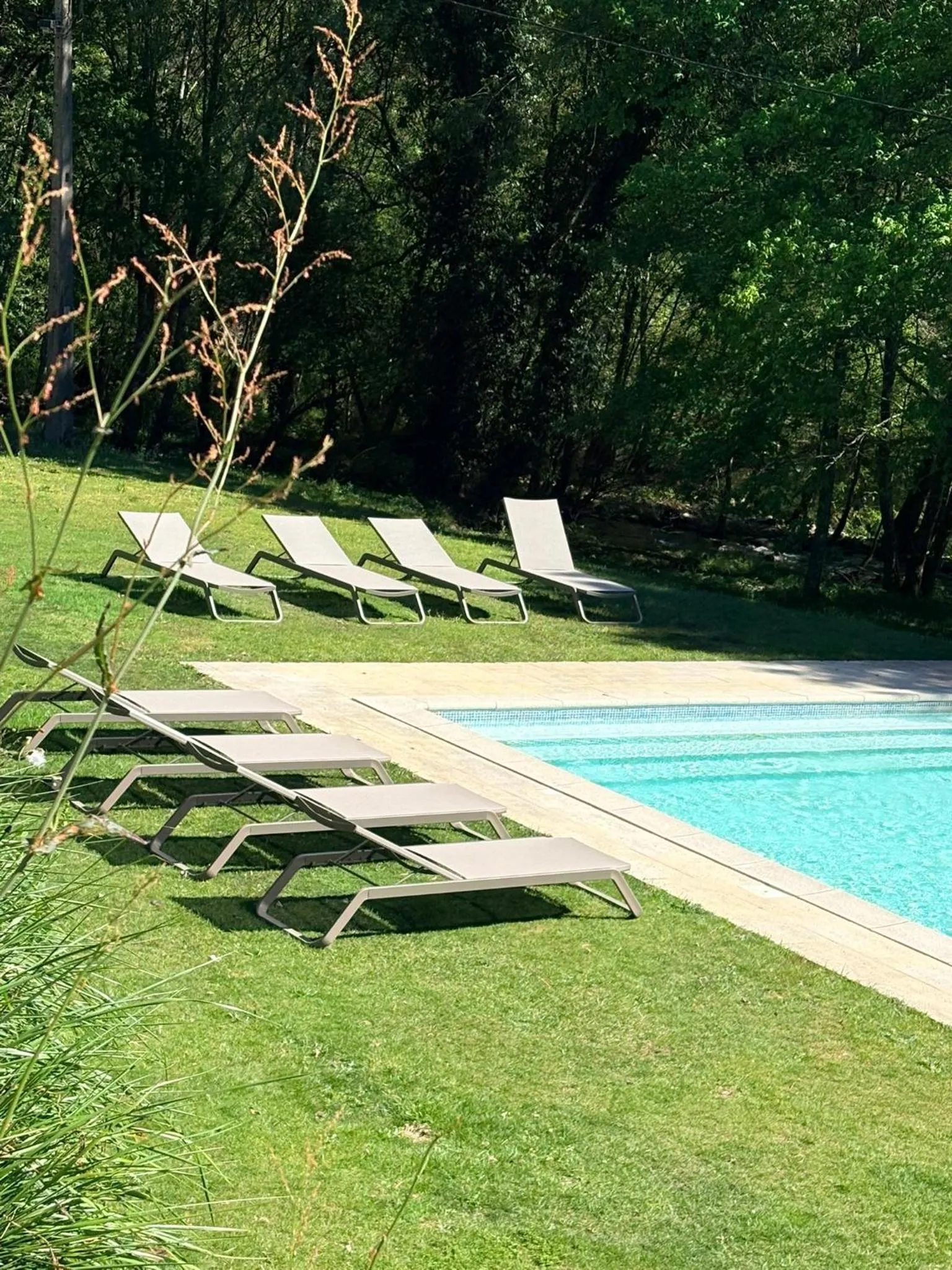 Garden in Quinta da Rabaçosa - Turismo Rural