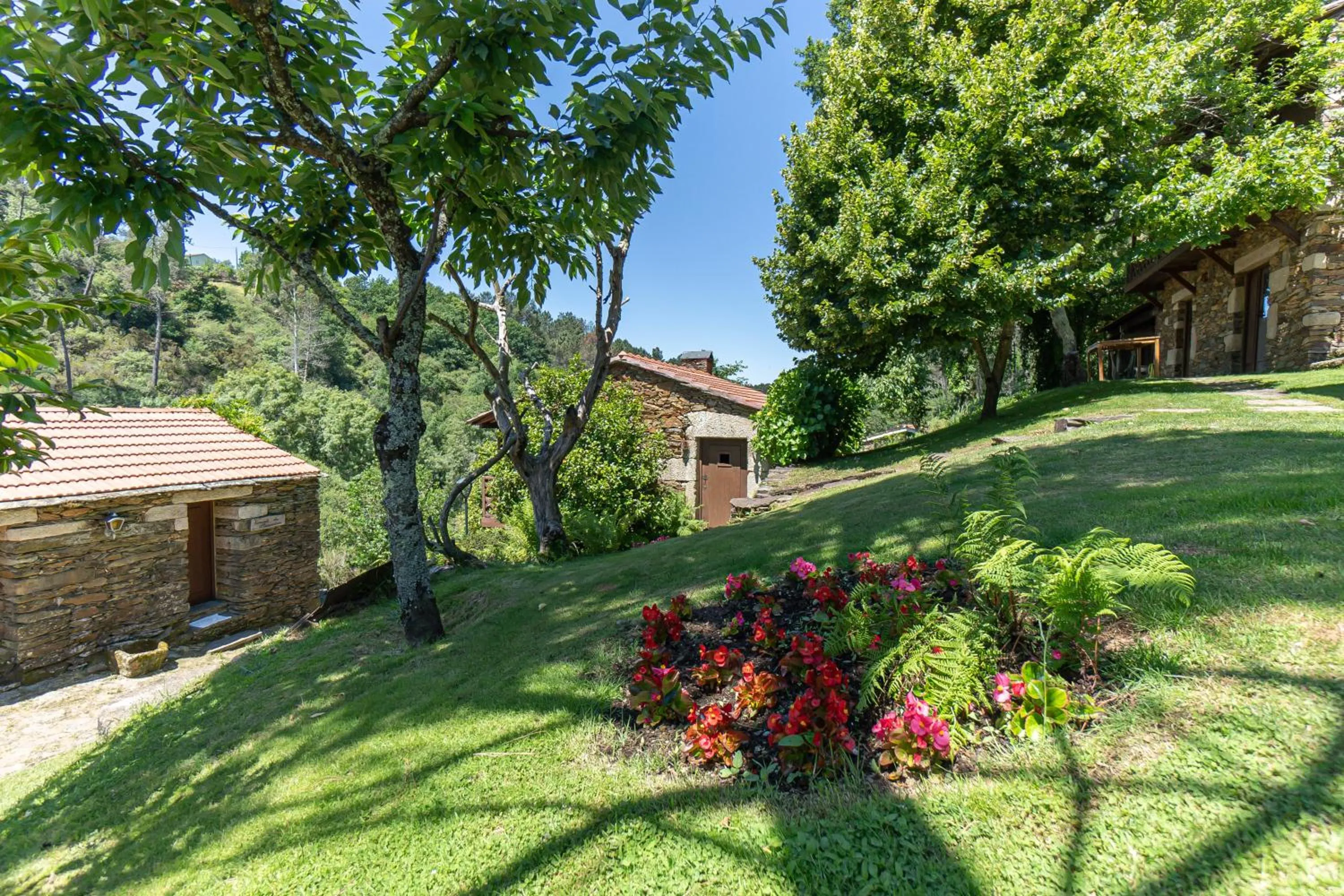 Garden in Quinta da Rabaçosa - Turismo Rural
