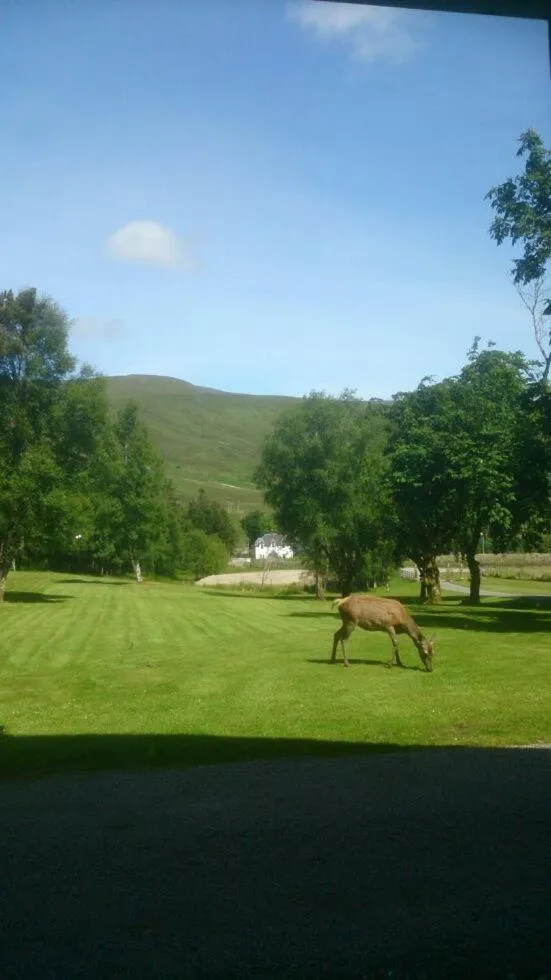 View (from property/room) in Ledgowan Lodge Hotel