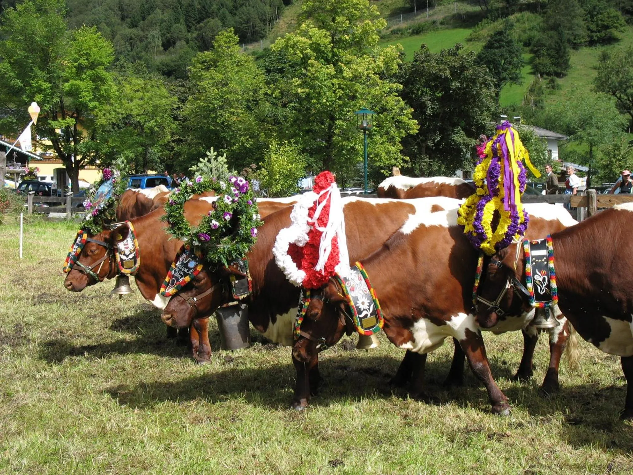 Activities in Hotel LukasMayr