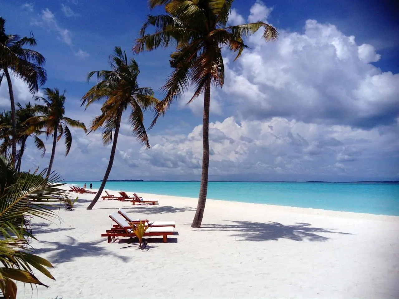 Beach in Hondaafushi Island Resort