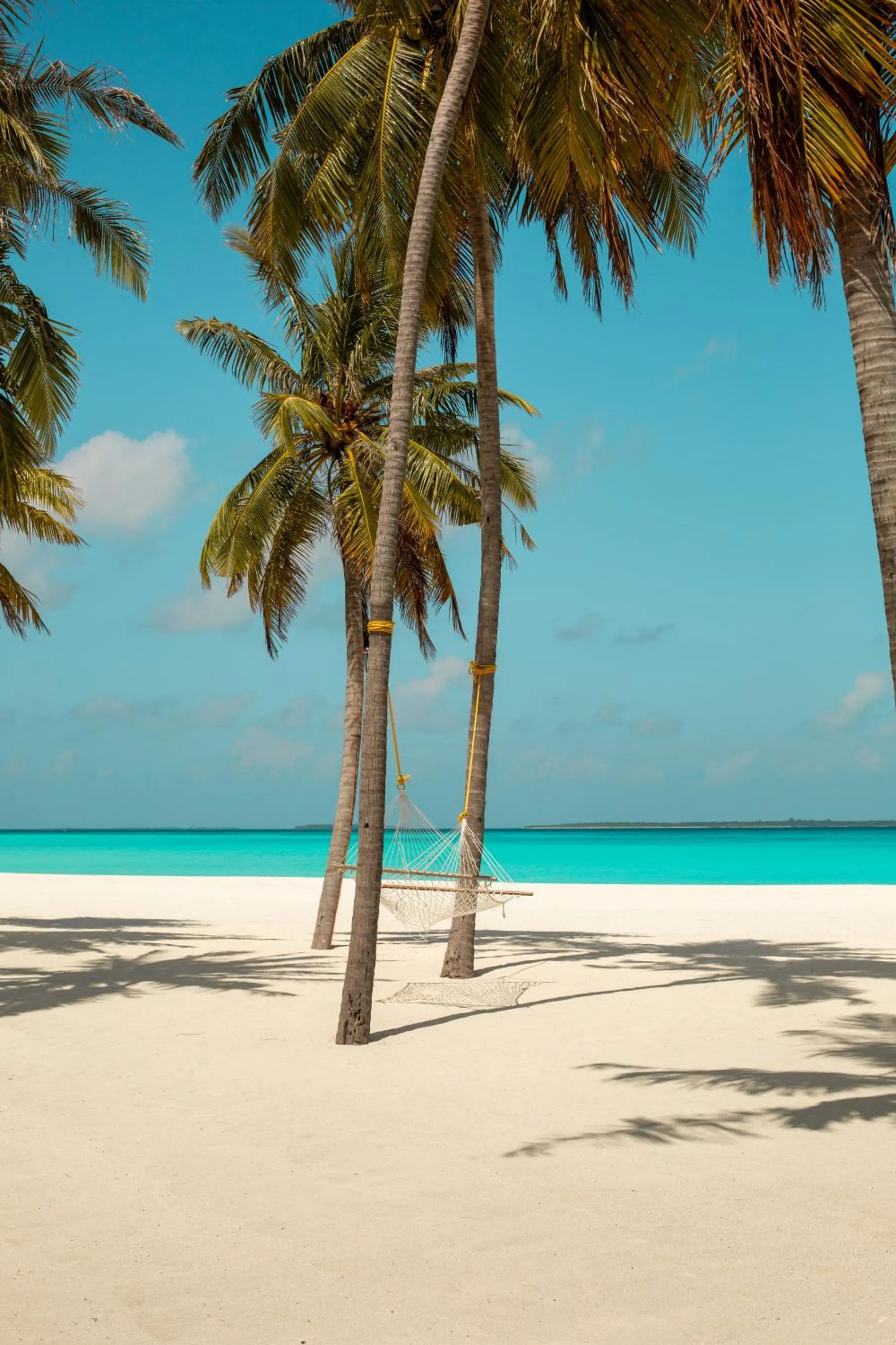 Beach in Hondaafushi Island Resort