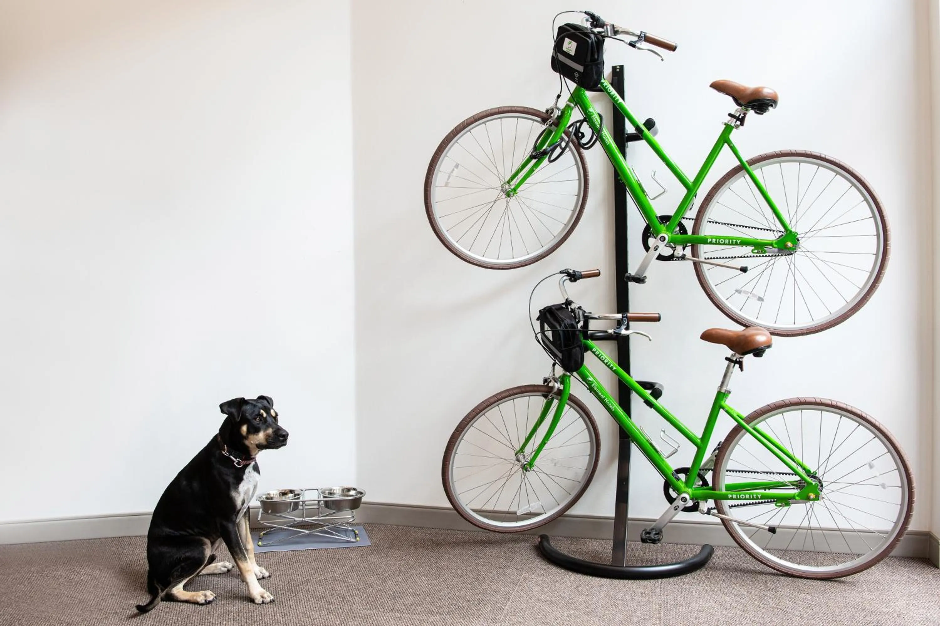 Other in Element Scottsdale at SkySong