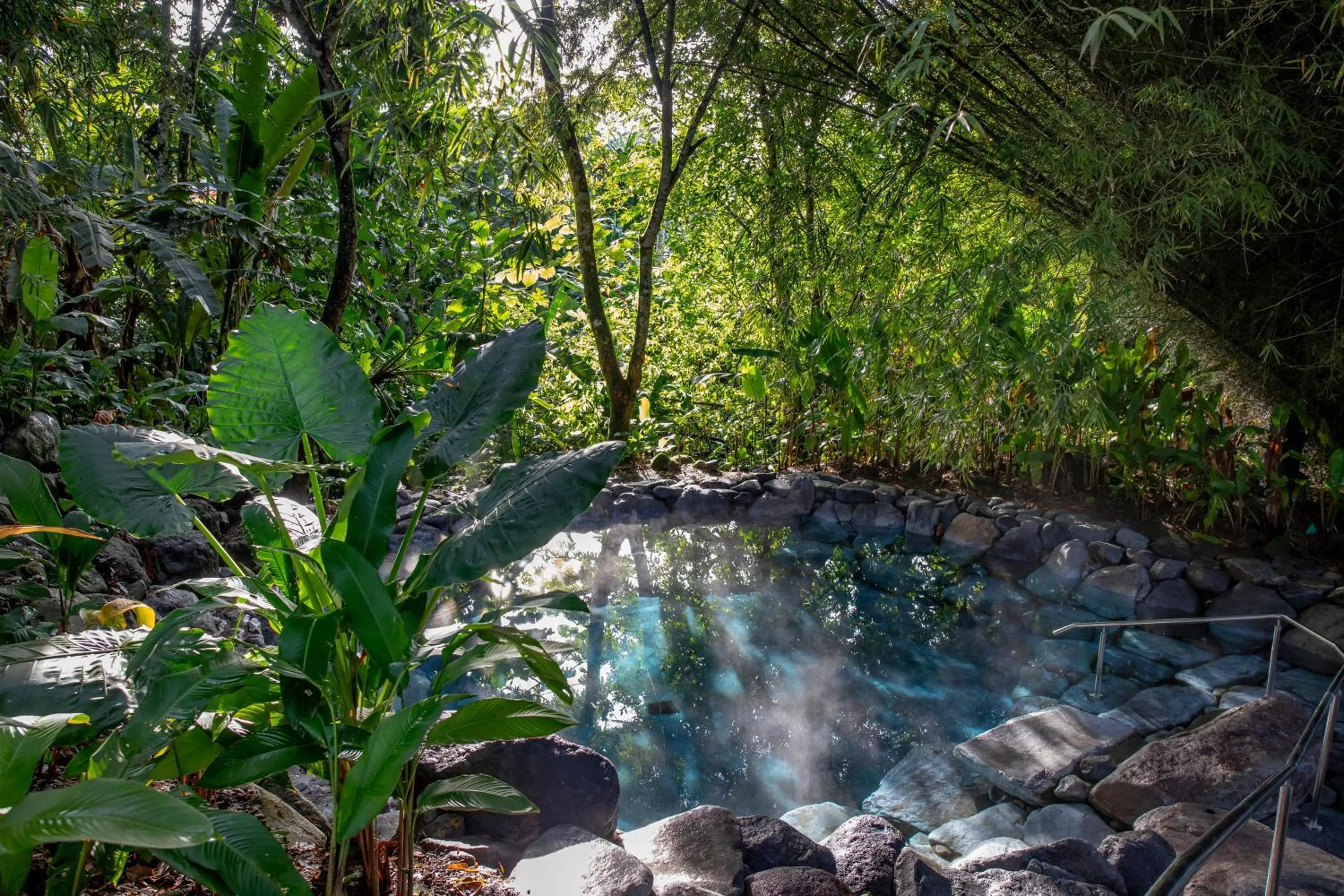 Swimming pool in Arenal Manoa Resort & Hot Springs