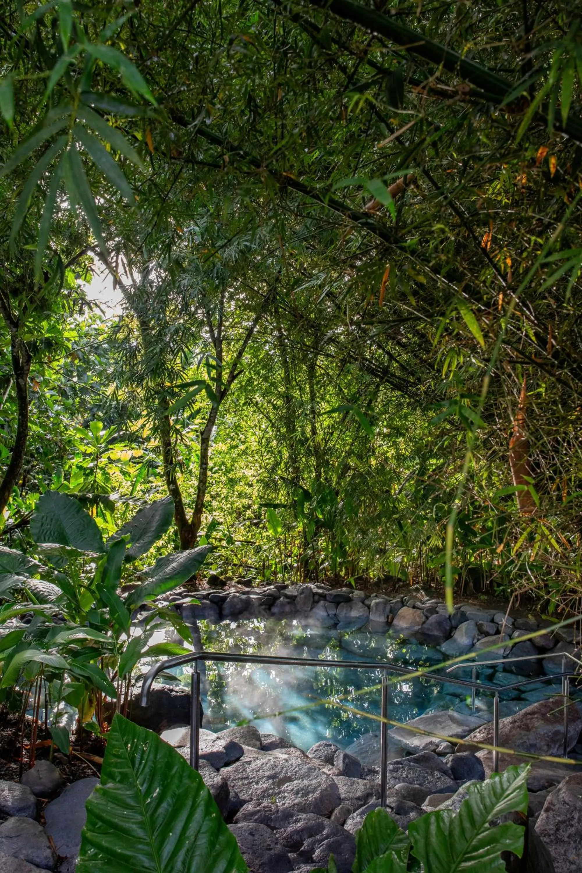 Swimming pool in Arenal Manoa Resort & Hot Springs