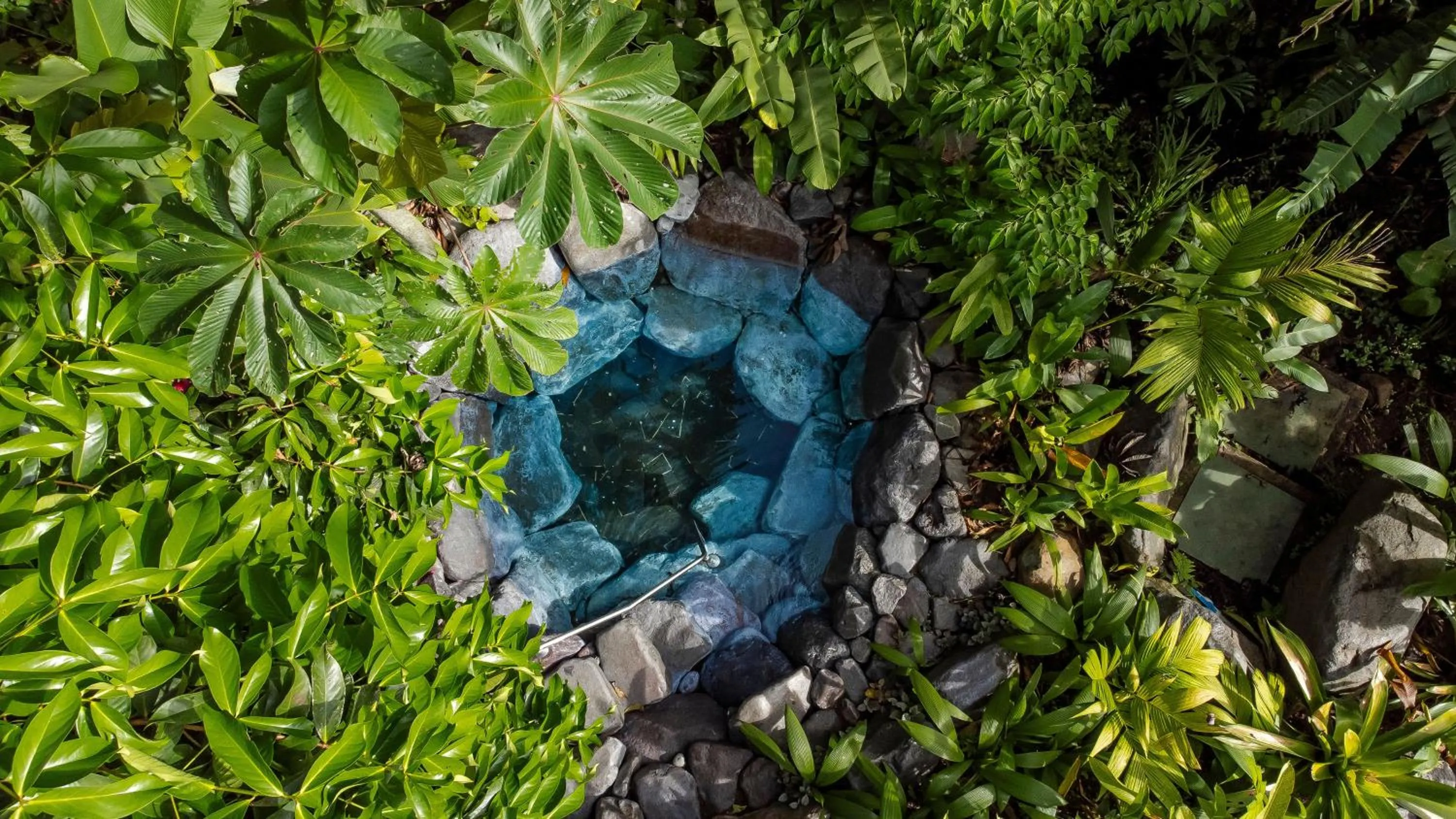 Swimming pool in Arenal Manoa Resort & Hot Springs