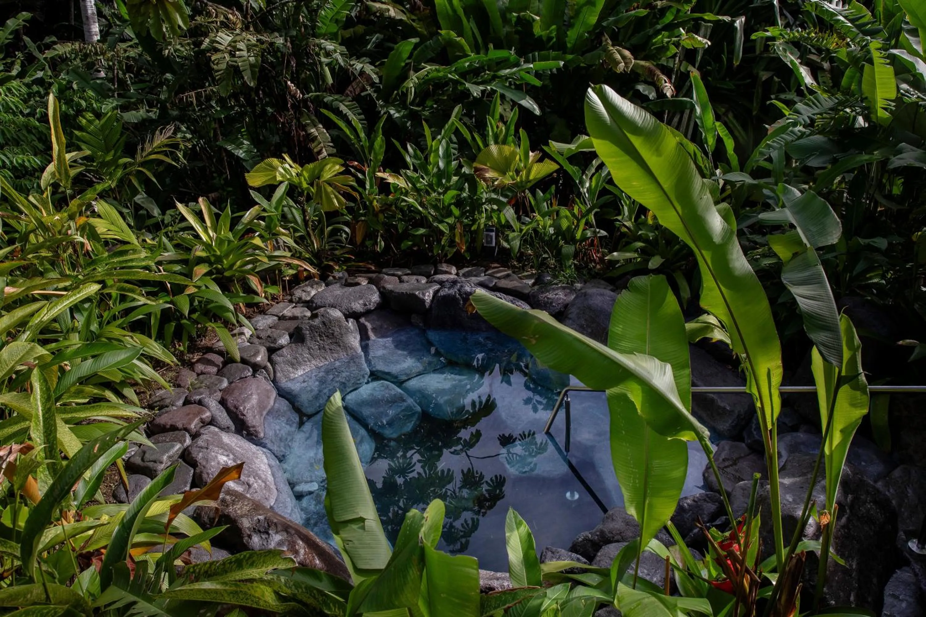 Swimming pool in Arenal Manoa Resort & Hot Springs
