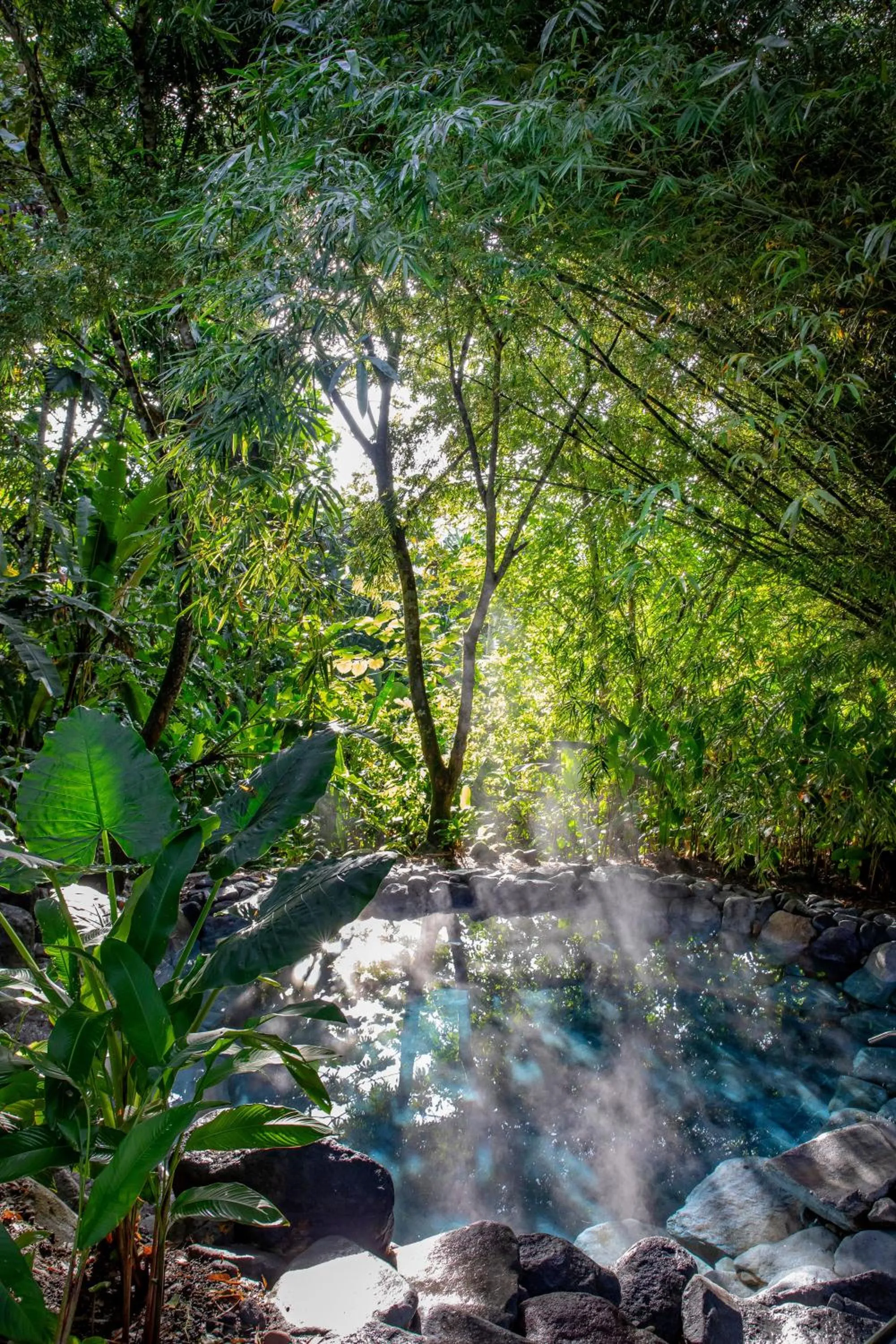 Swimming pool in Arenal Manoa Resort & Hot Springs
