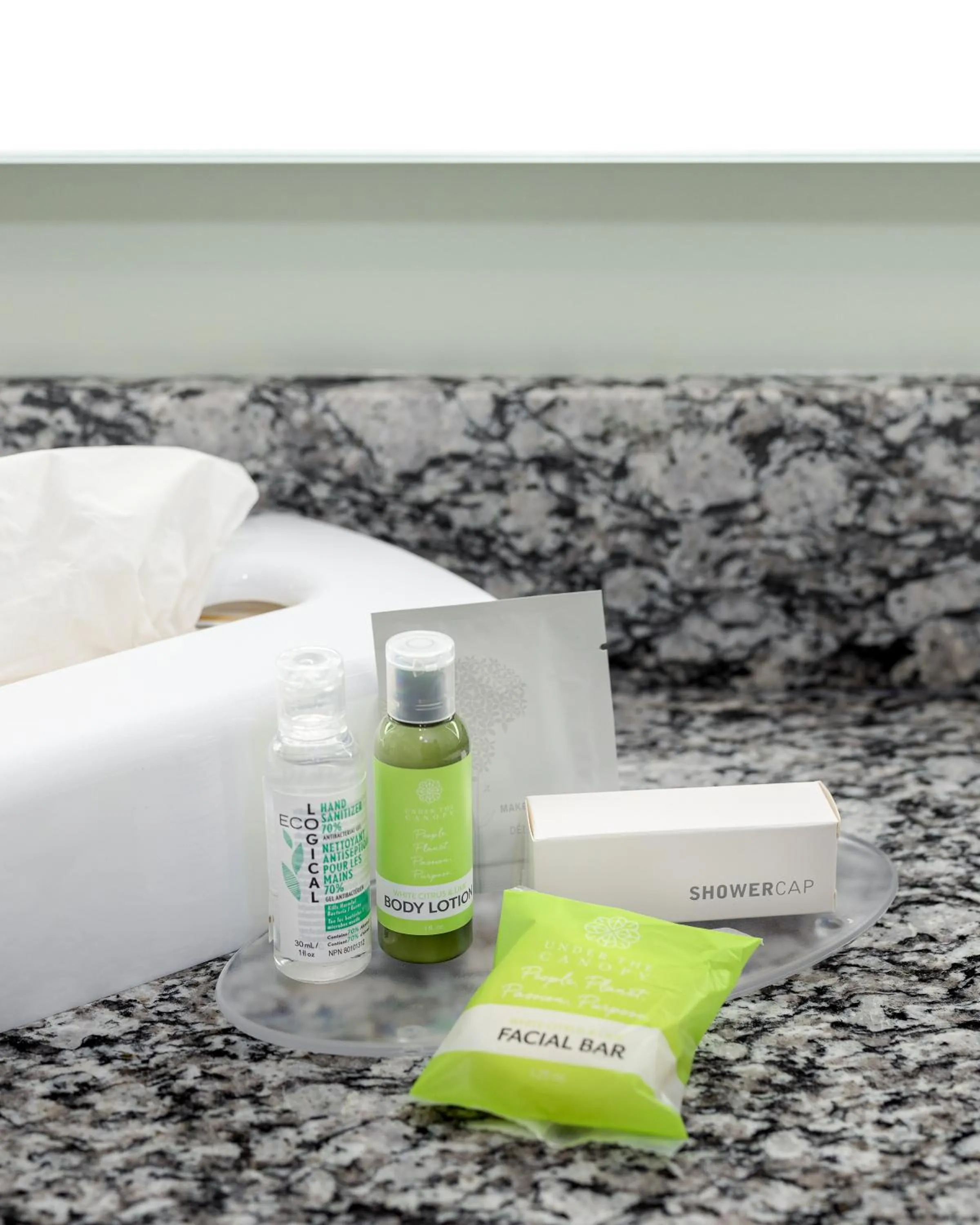 Bathroom in Home Inn & Suites - Swift Current