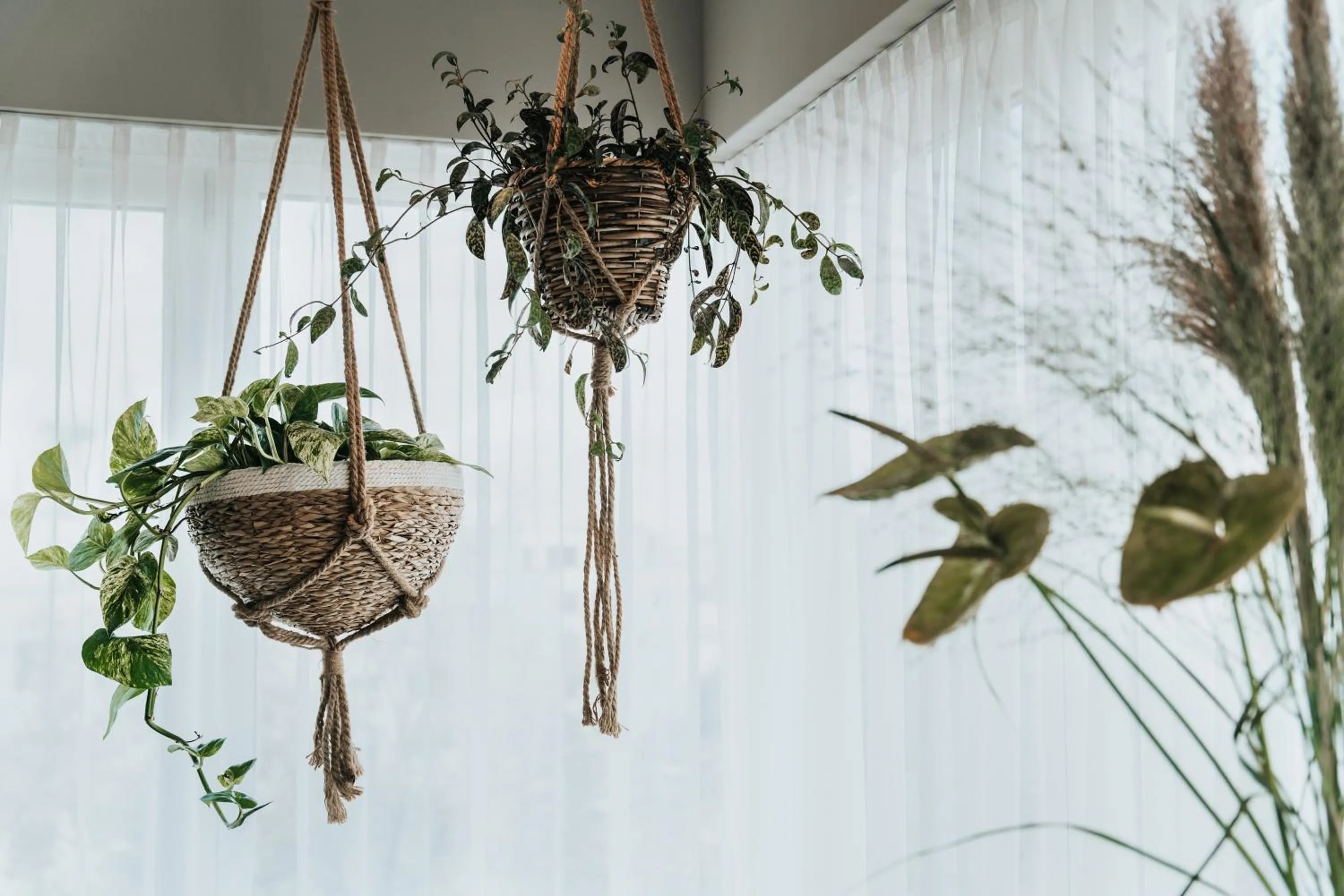 Deluxe Double or Twin Room in The Blasky