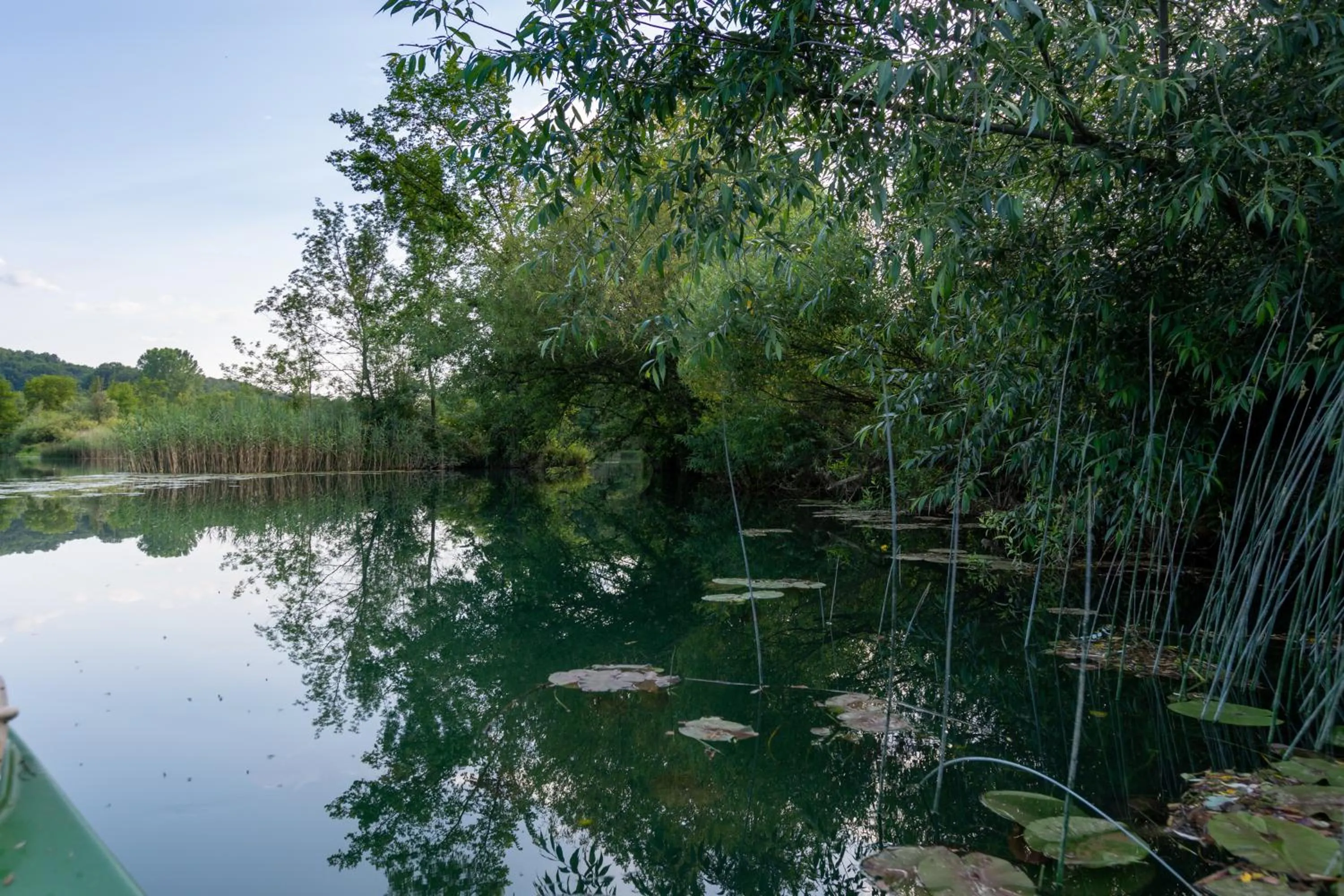 Natural landscape in Pampas apartments Mrežnica