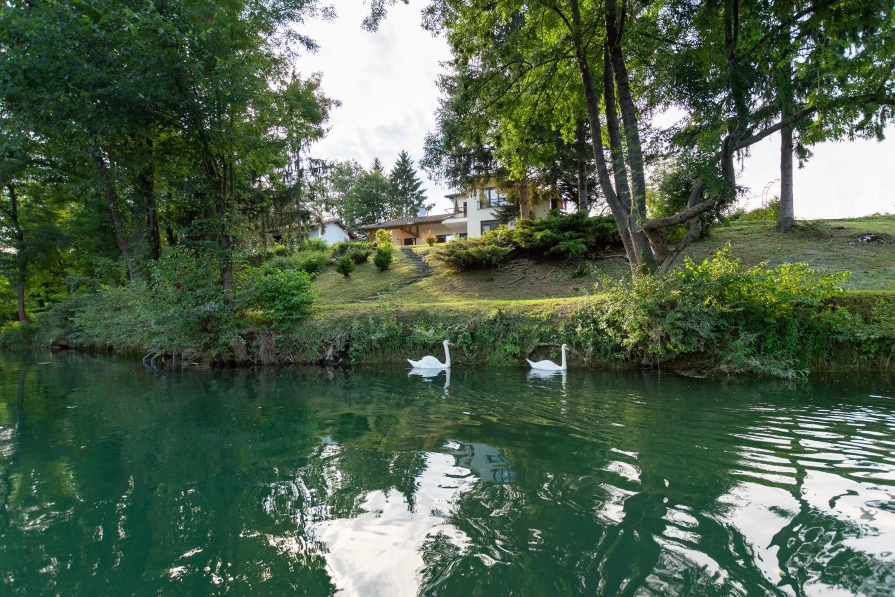 Natural landscape in Pampas apartments Mrežnica