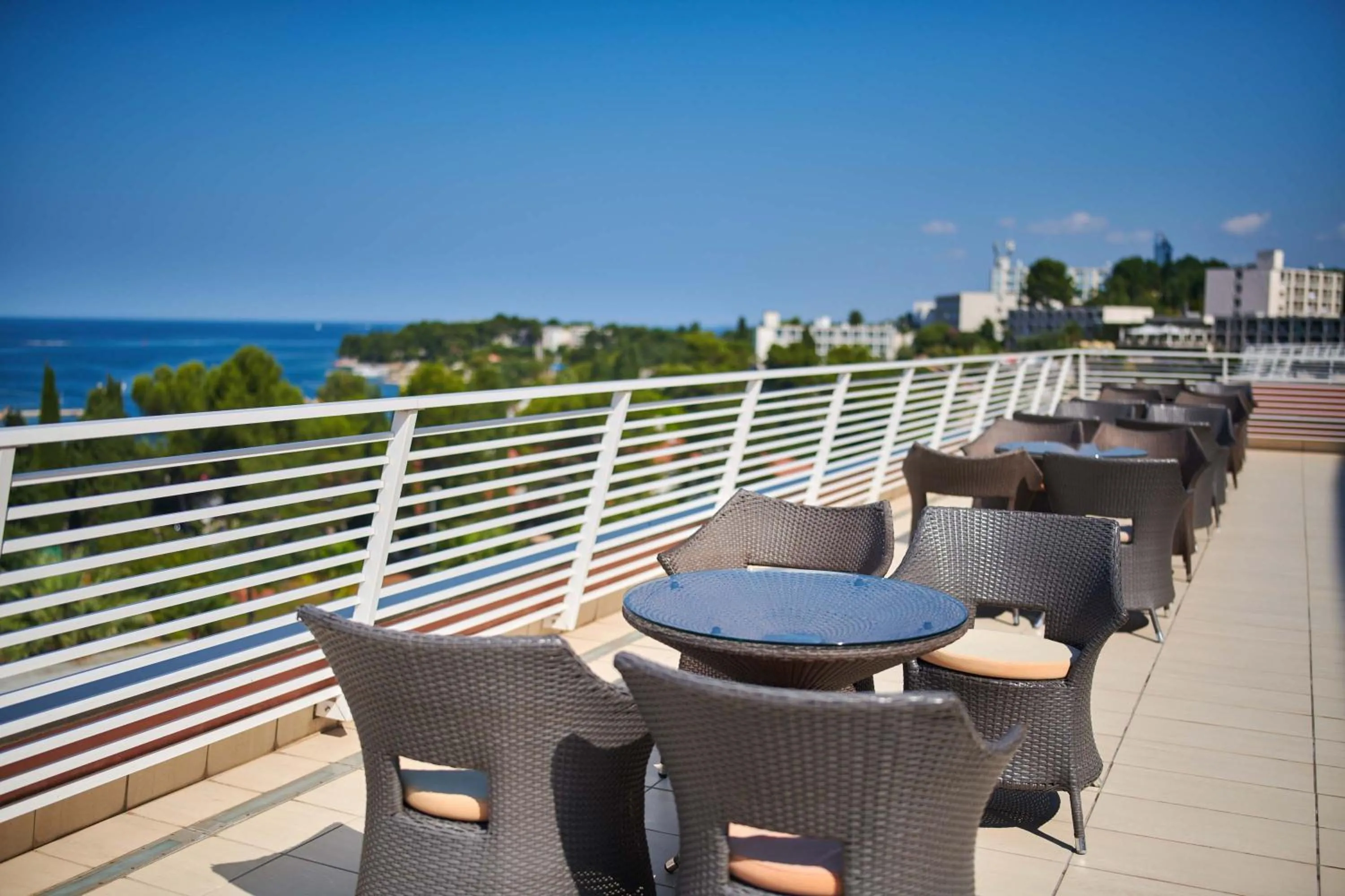 Lounge or bar in Hotel Albatros Plava Laguna