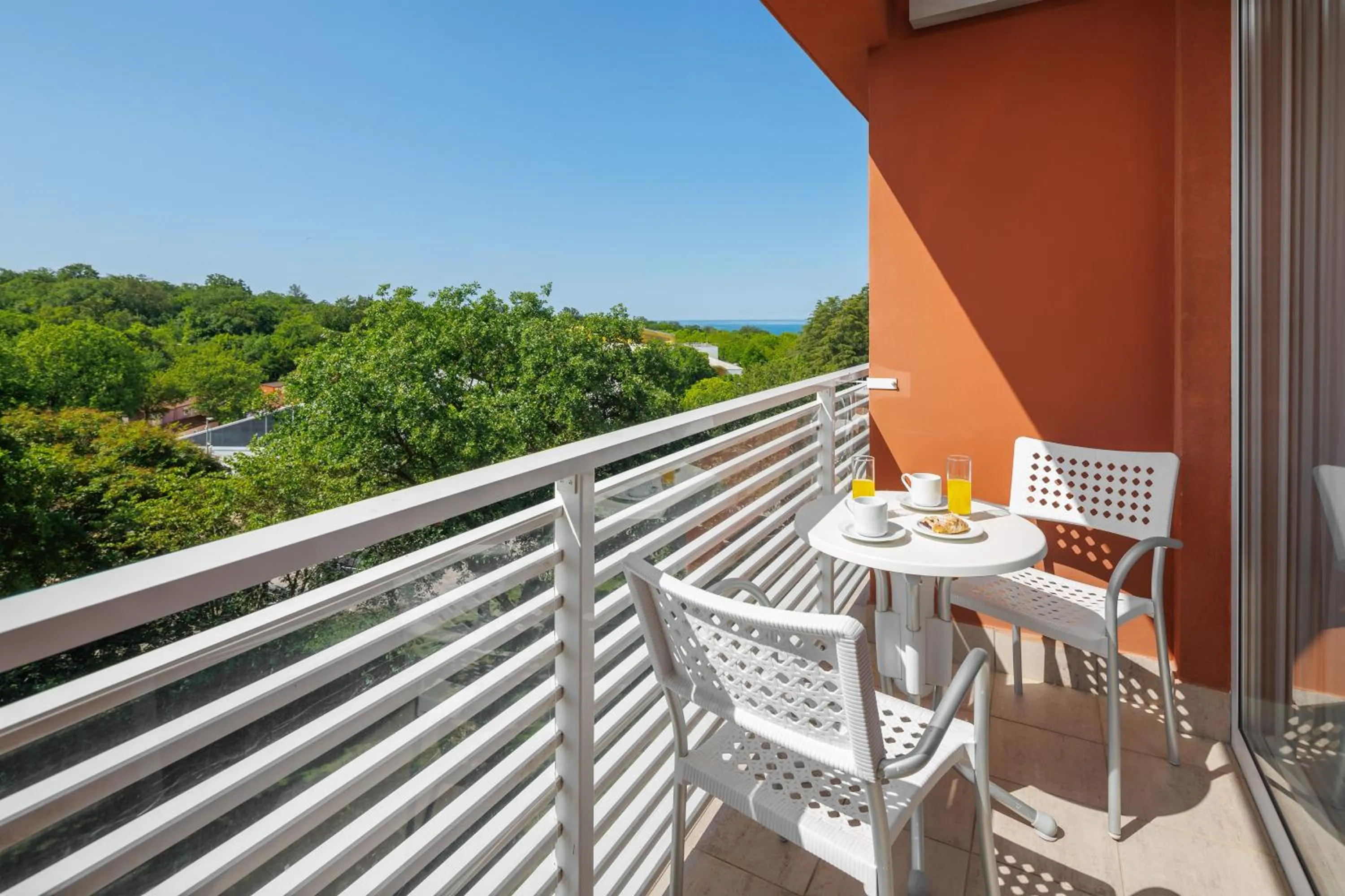 Balcony/Terrace in Hotel Albatros Plava Laguna