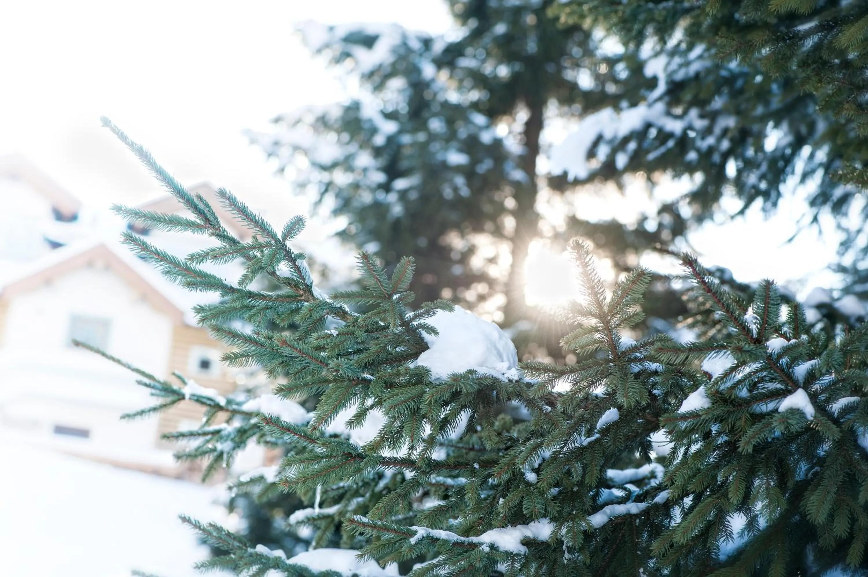 Winter in Garnì Aurora Bed and Breakfast