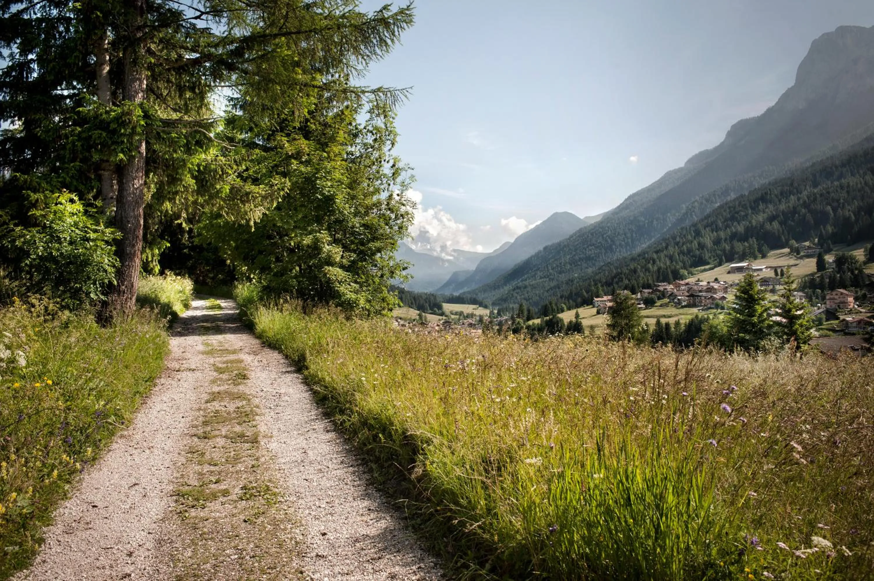 Neighbourhood in Garnì Aurora Bed and Breakfast