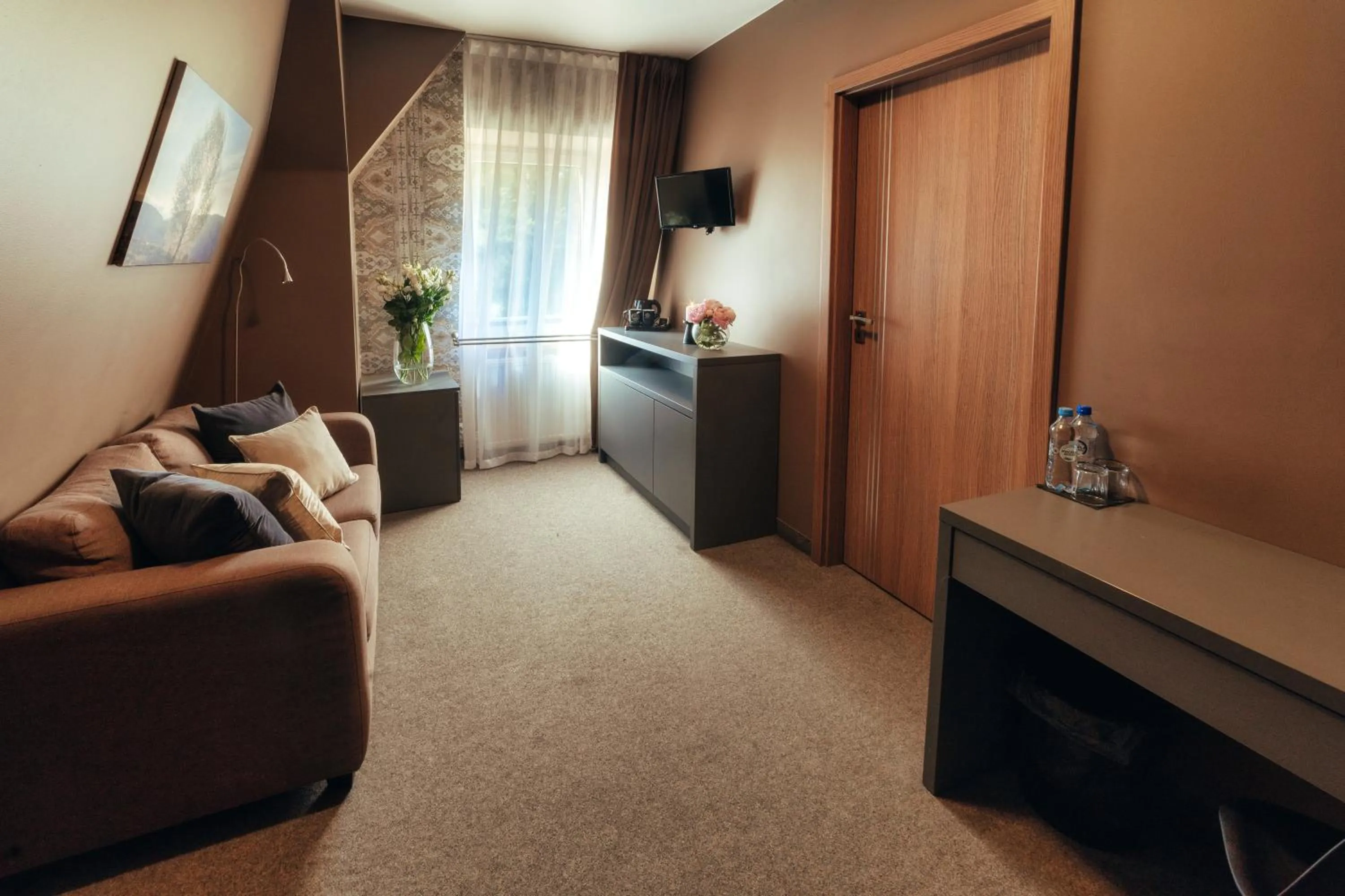 TV and multimedia in Srebrny Bucznik Wellness & Restaurant