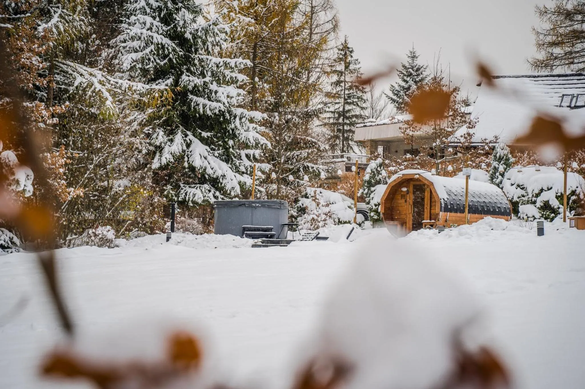 Srebrny Bucznik Wellness & Restaurant