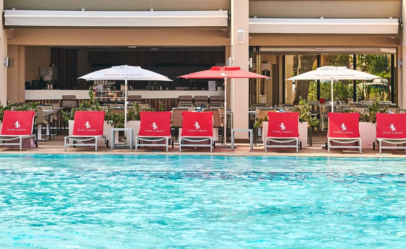 Swimming pool in Hotel Park Plava Laguna