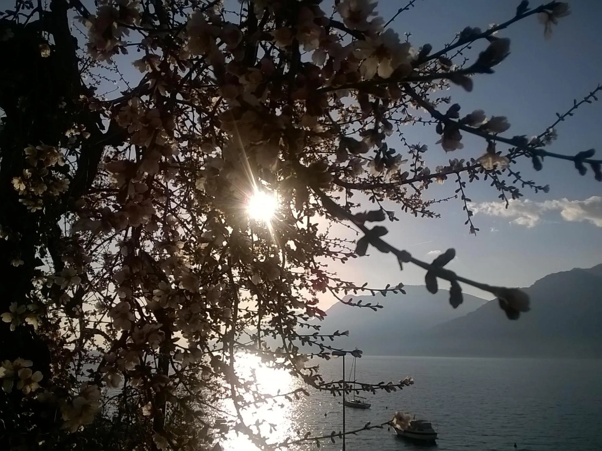 Garden in B&B Casa Sartori