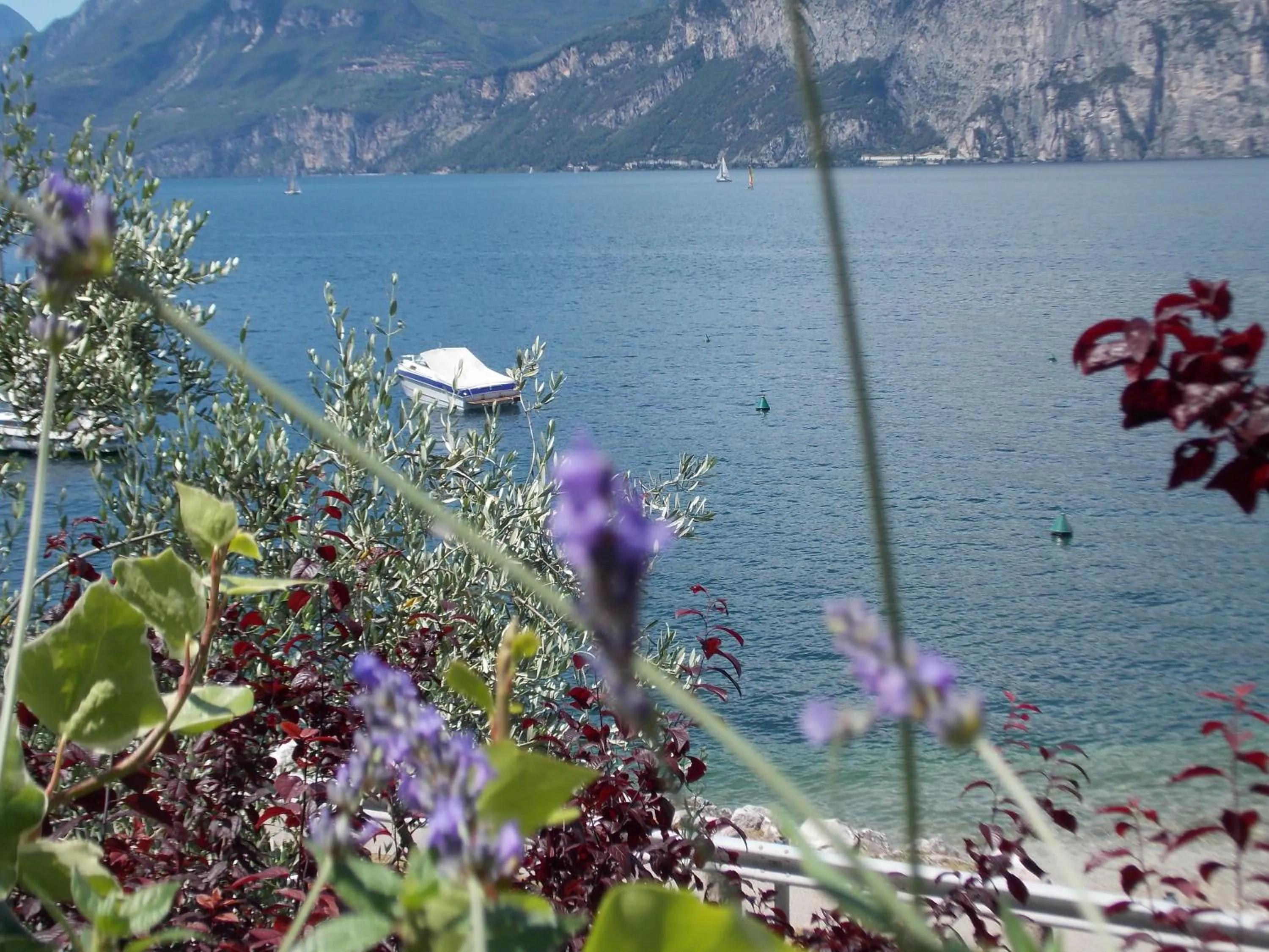 View (from property/room) in B&B Casa Sartori