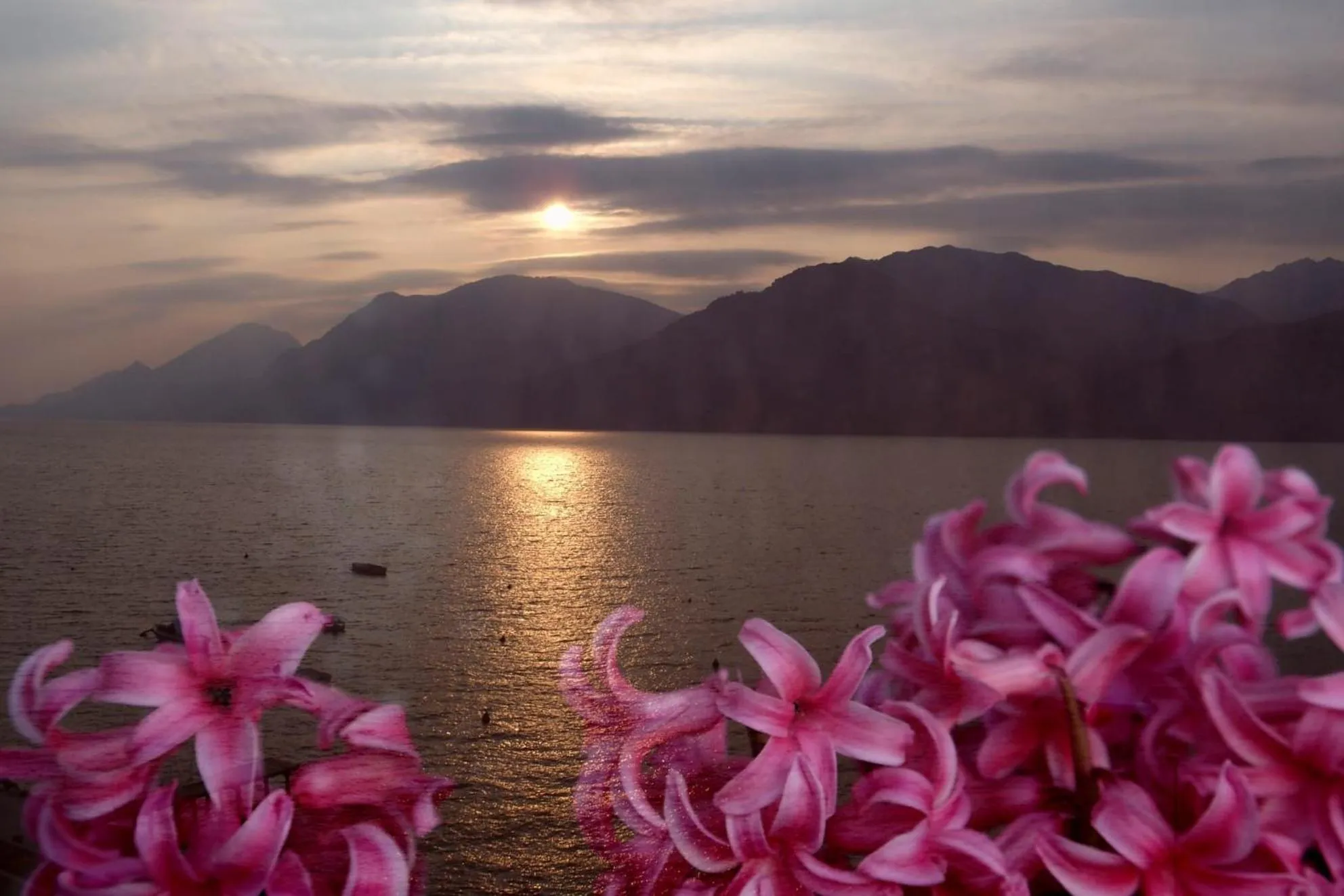 Natural landscape in B&B Casa Sartori