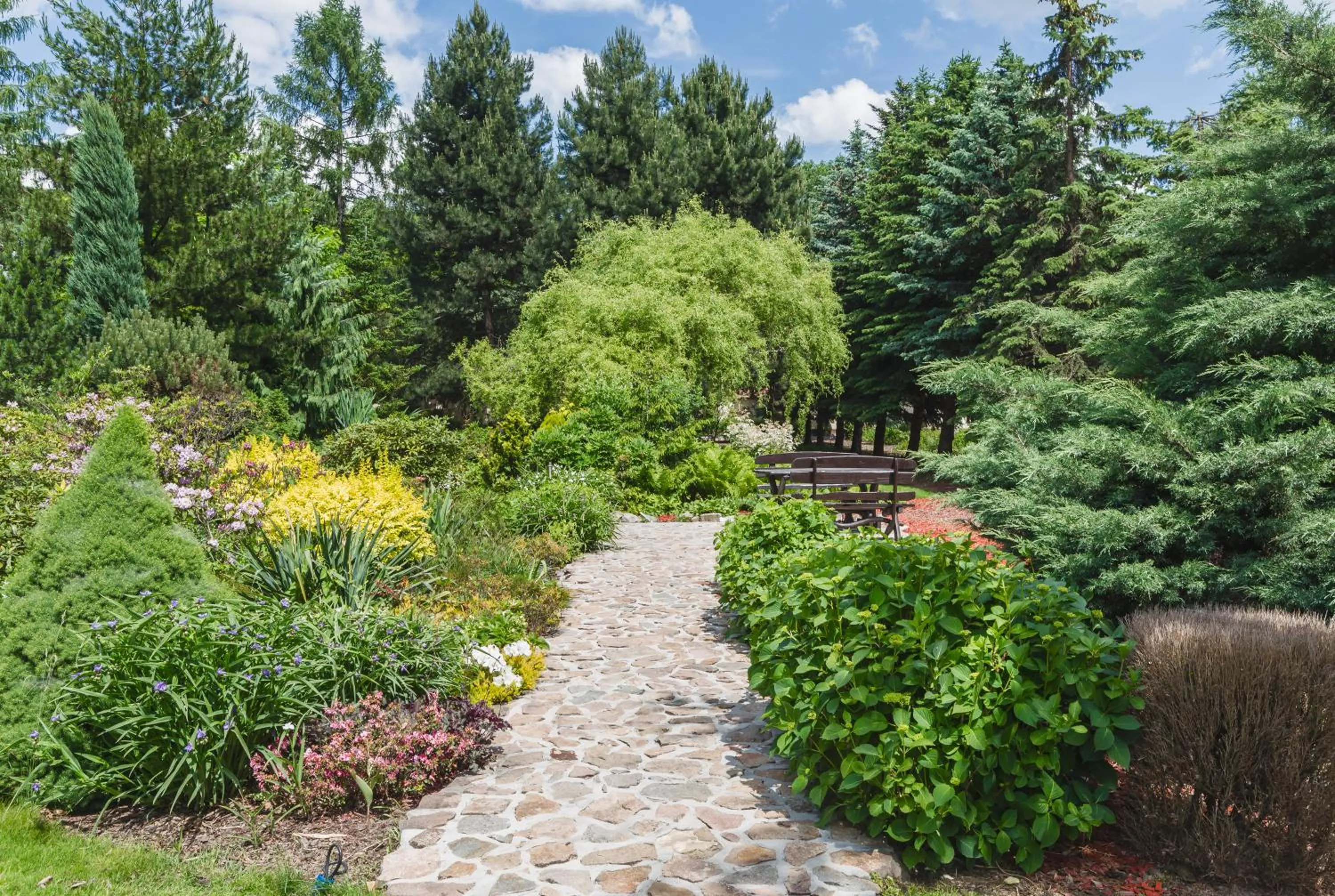 Garden in Domus Mater Hotel