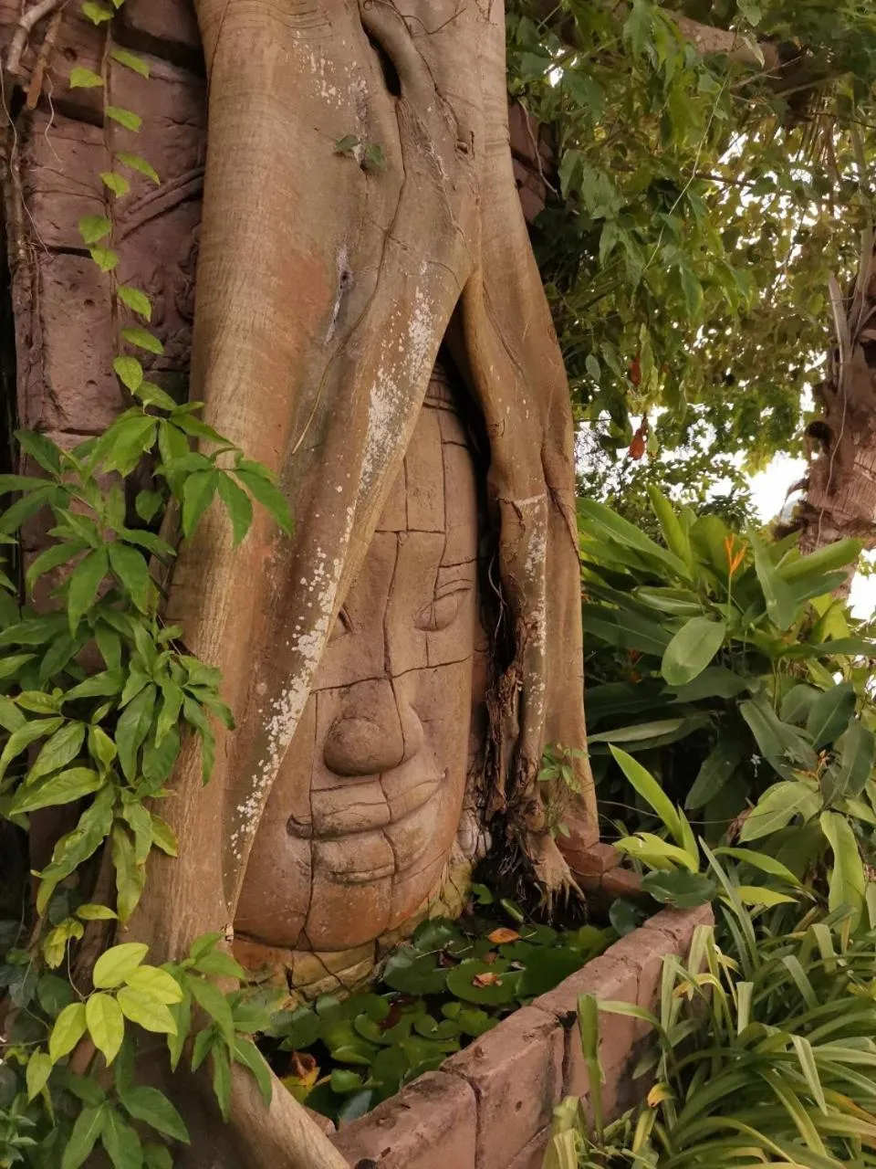 Garden view in Grand Sea Beach Resort