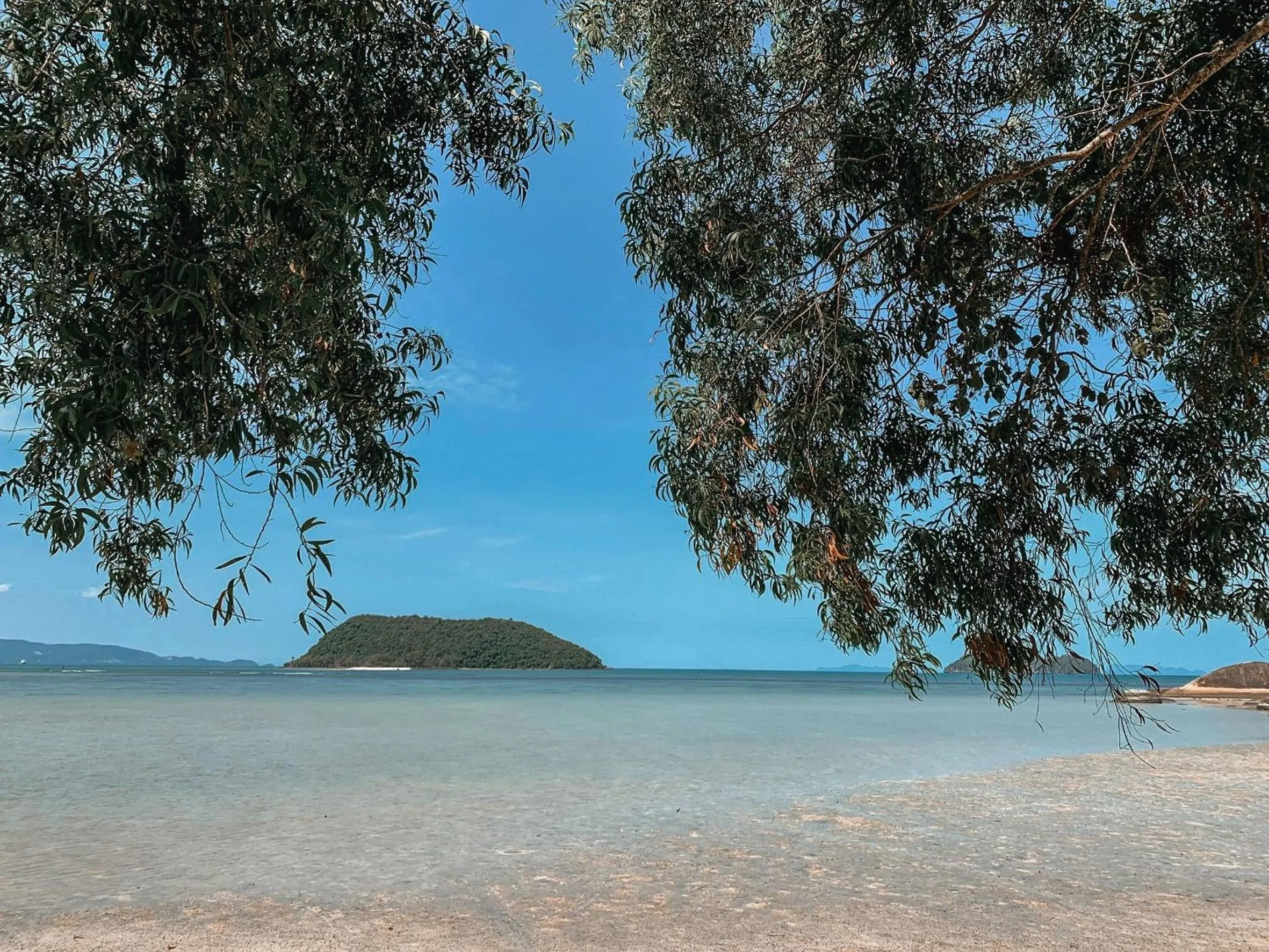 Natural landscape in Grand Sea Beach Resort