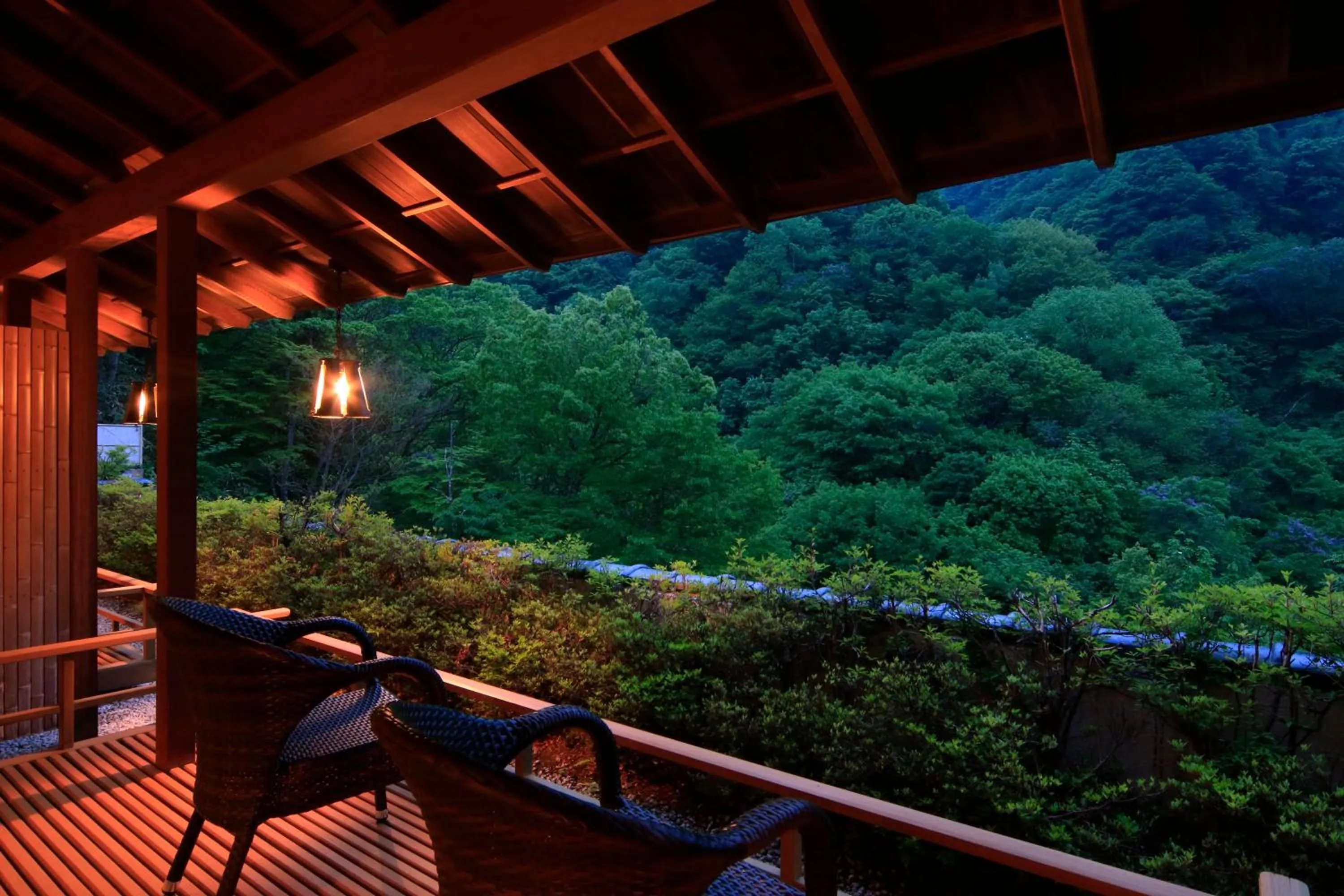 Balcony/Terrace in Fujiiso
