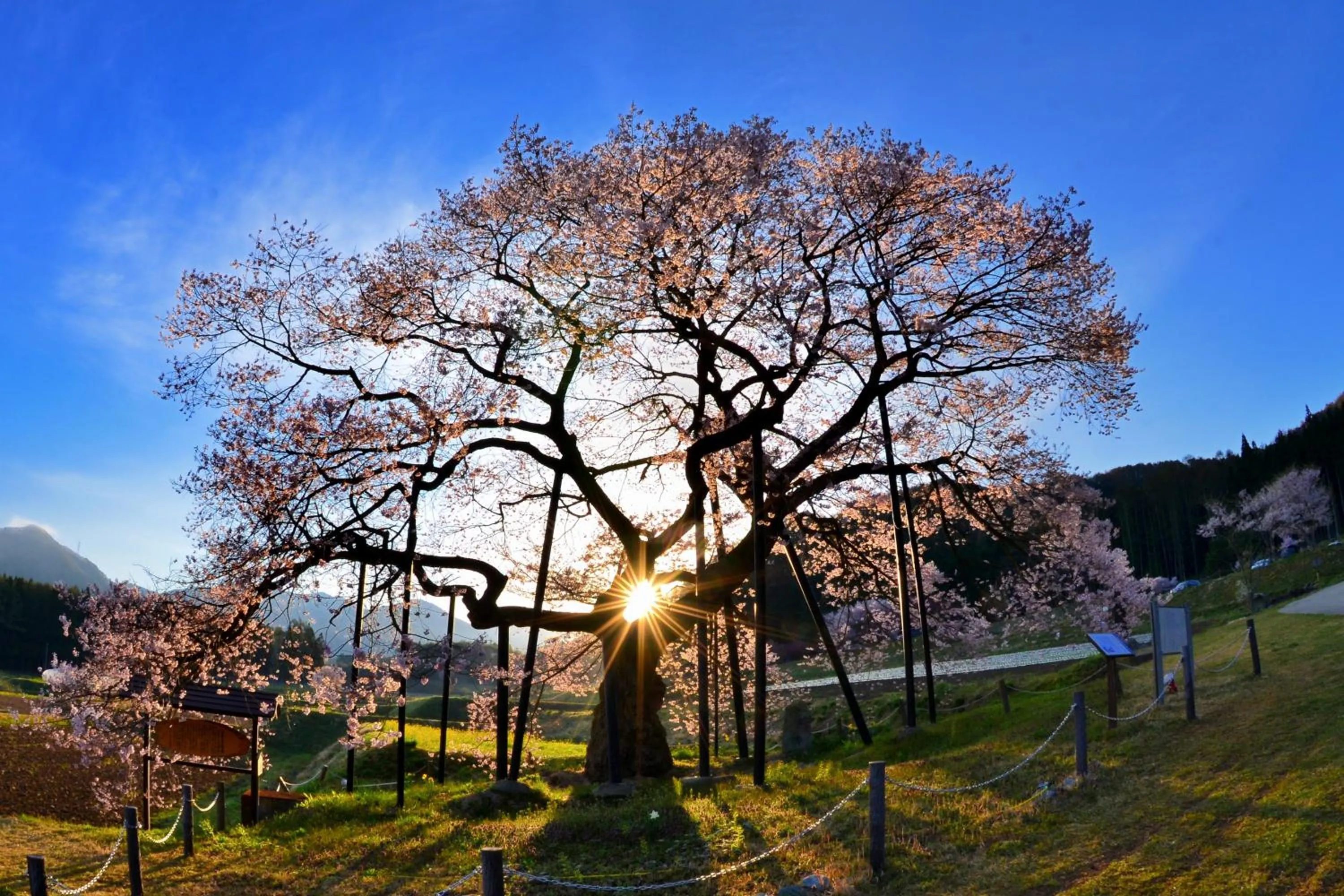 Nearby landmark in Fujiiso