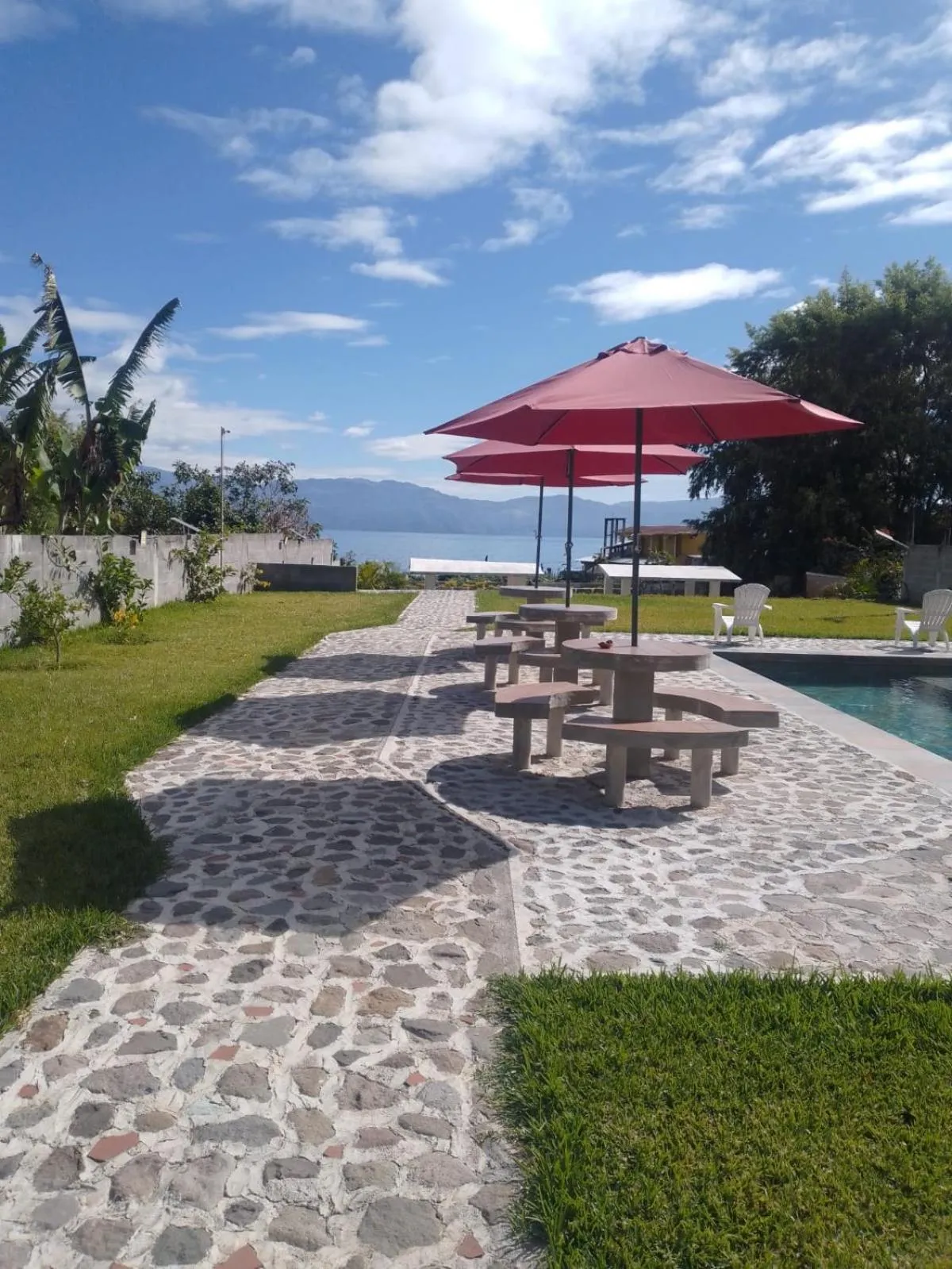 Garden in Hotel Casa don Pedro