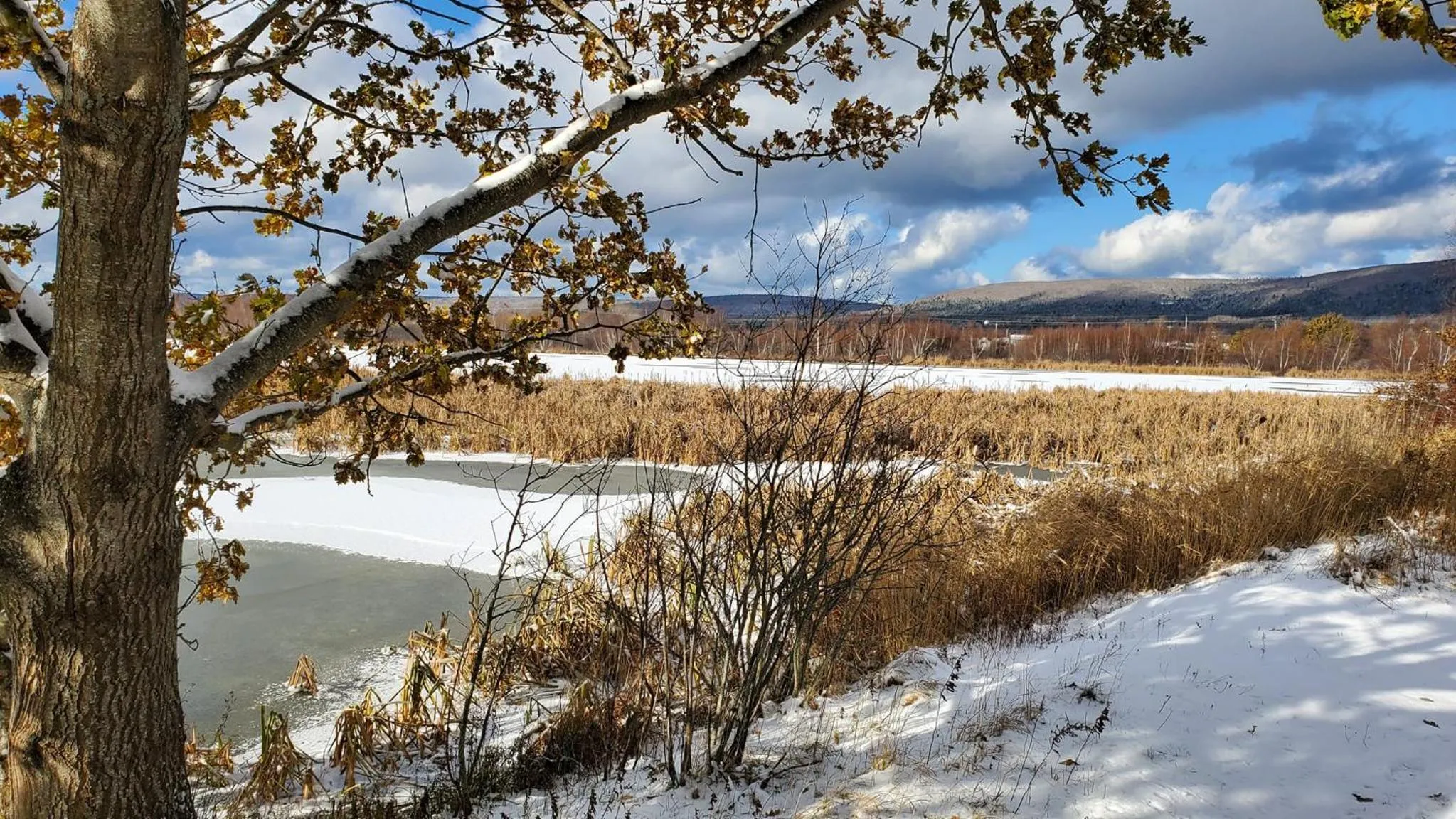 Natural landscape in The Lark & Loon Inn