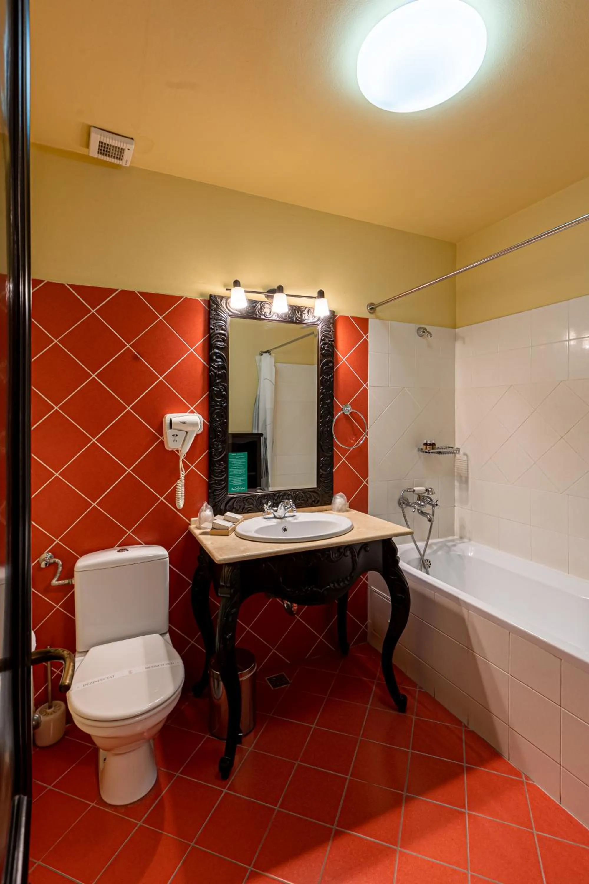 Bathroom in Hotel Central Park Sighisoara