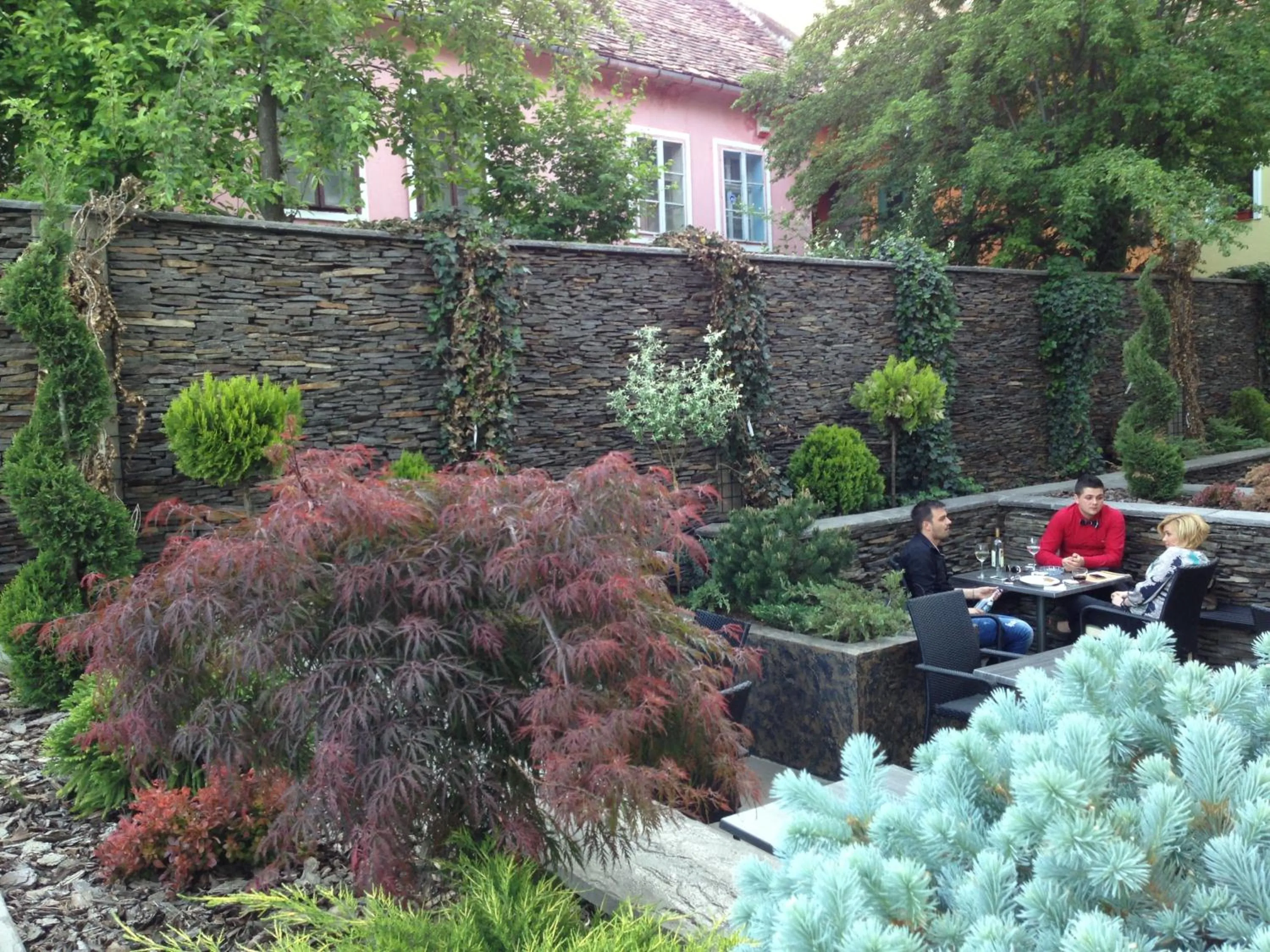 Garden in Hotel Central Park Sighisoara
