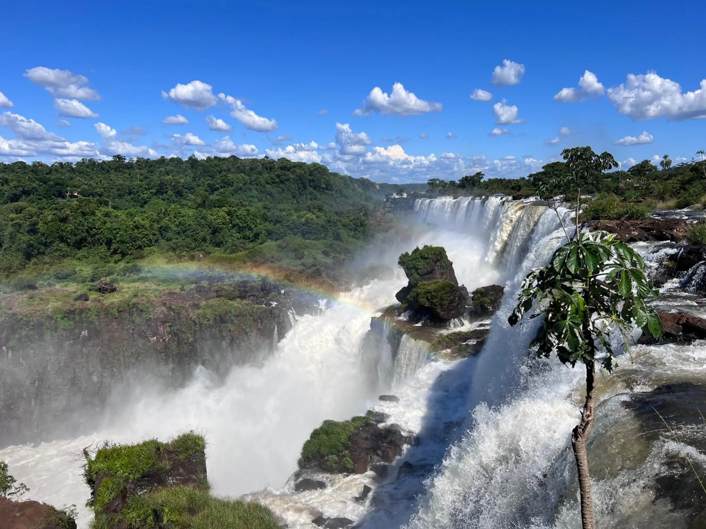 Natural landscape in Hotel Carmen